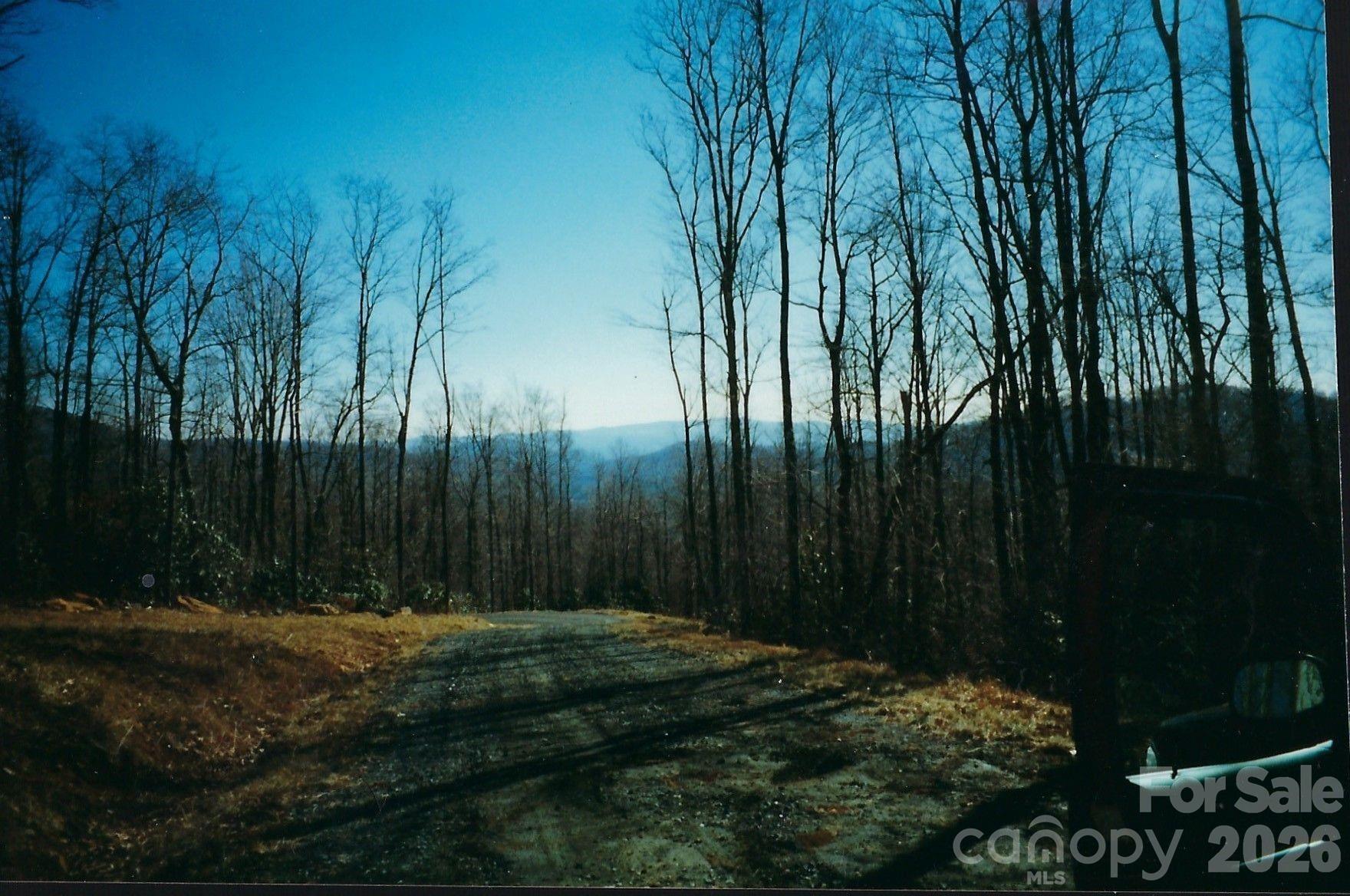 Lot #35 Damselfly Court Property Photo 2