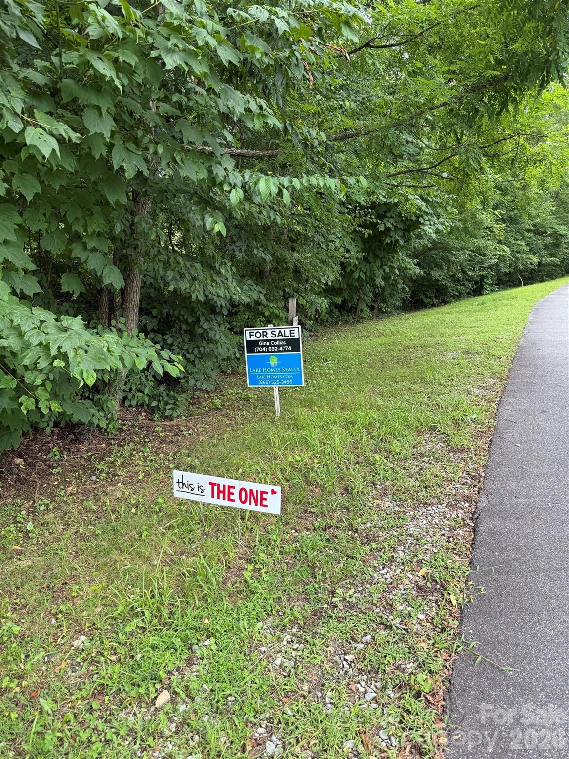 Lot #35 Damselfly Court Property Photo 3