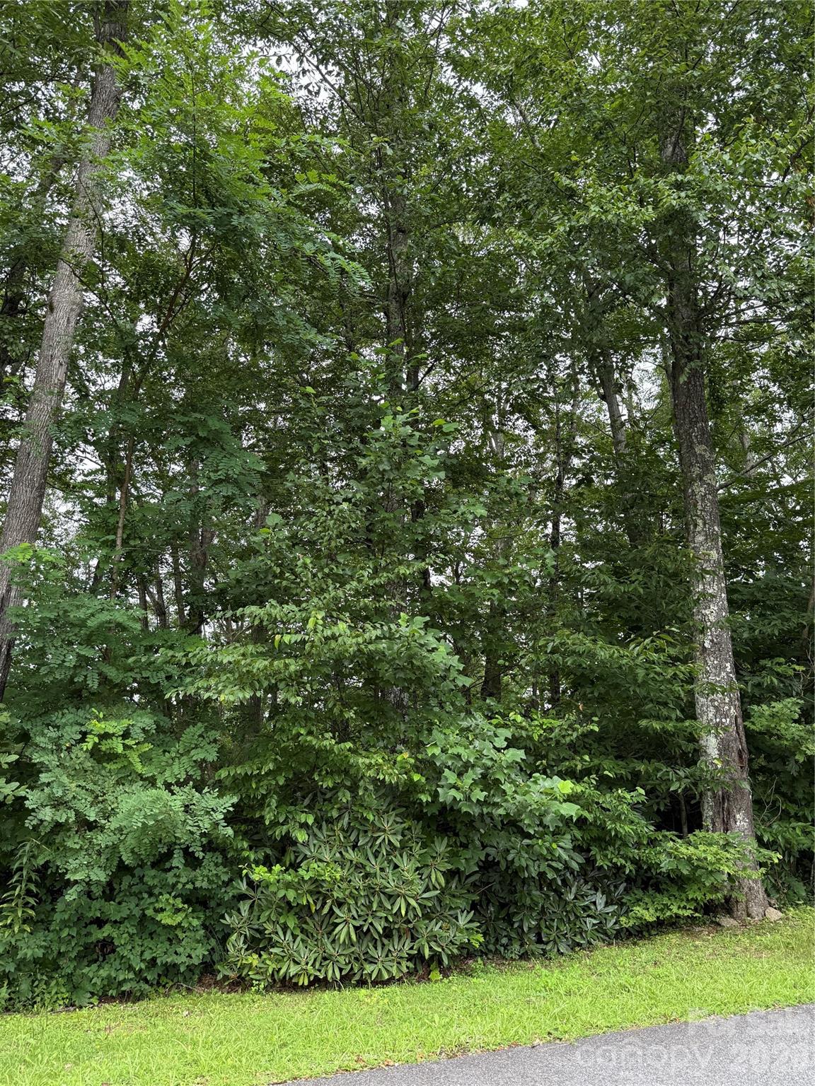 Lot #35 Damselfly Court Property Photo 9