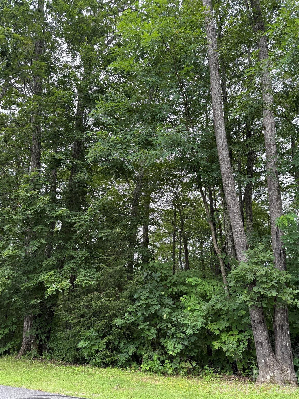 Lot #35 Damselfly Court Property Photo 10