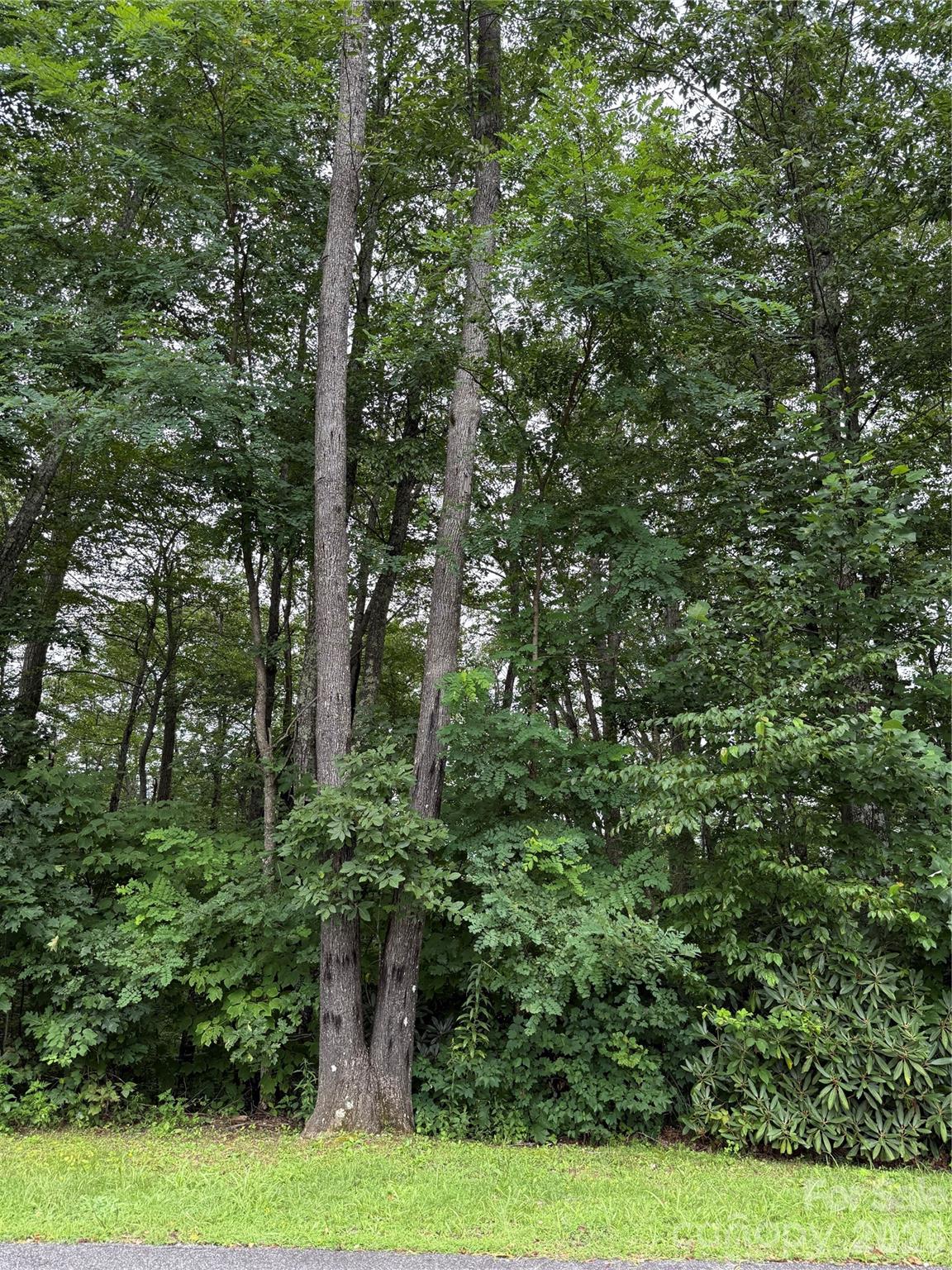 Lot #35 Damselfly Court Property Photo 11