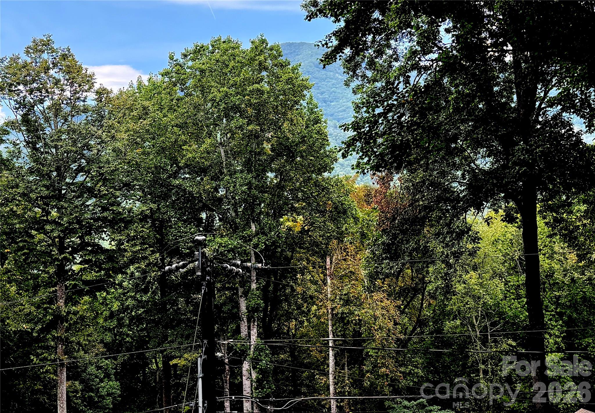 230 Forest Drive Property Photo 8