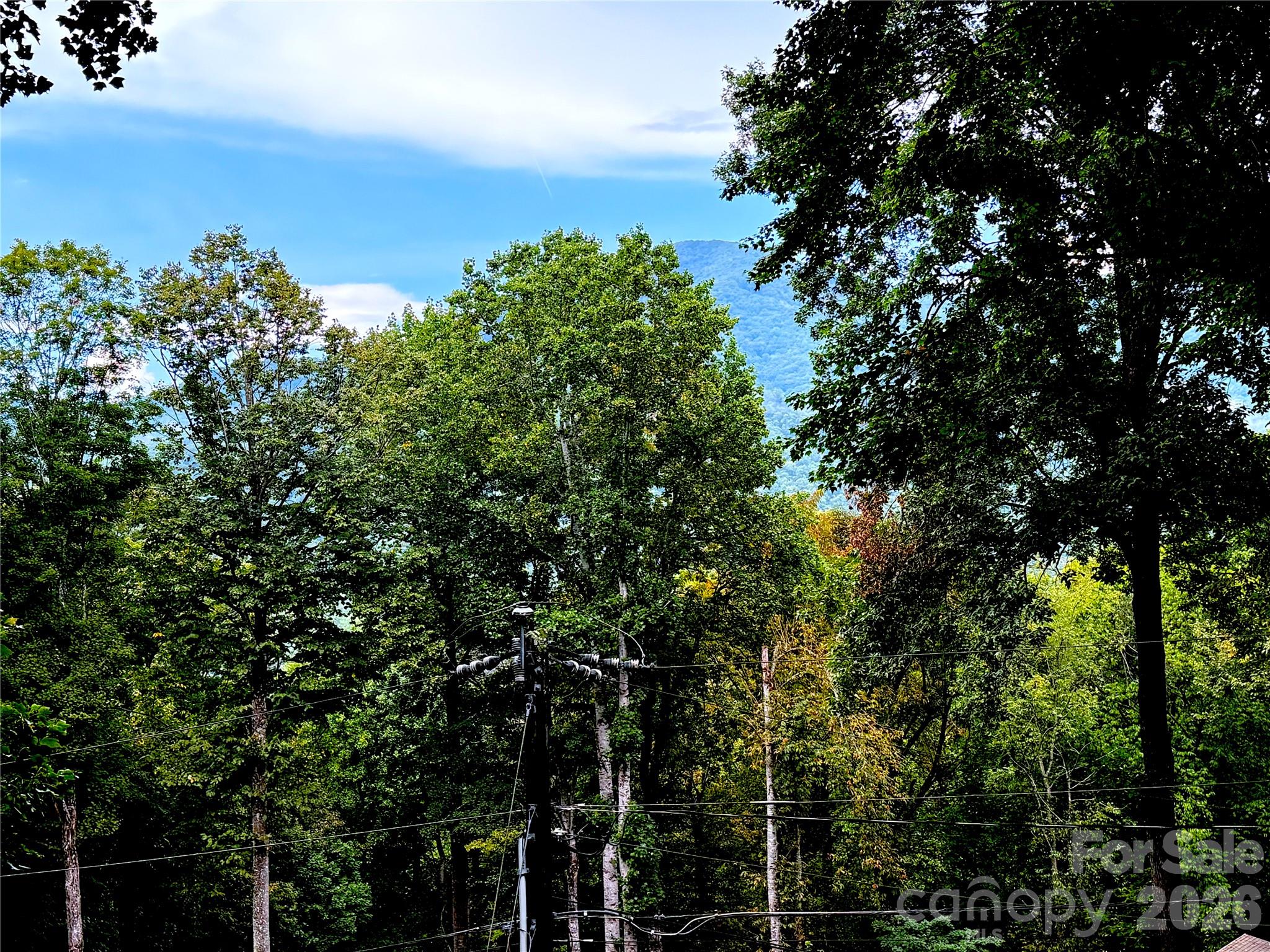230 Forest Drive Property Photo 44