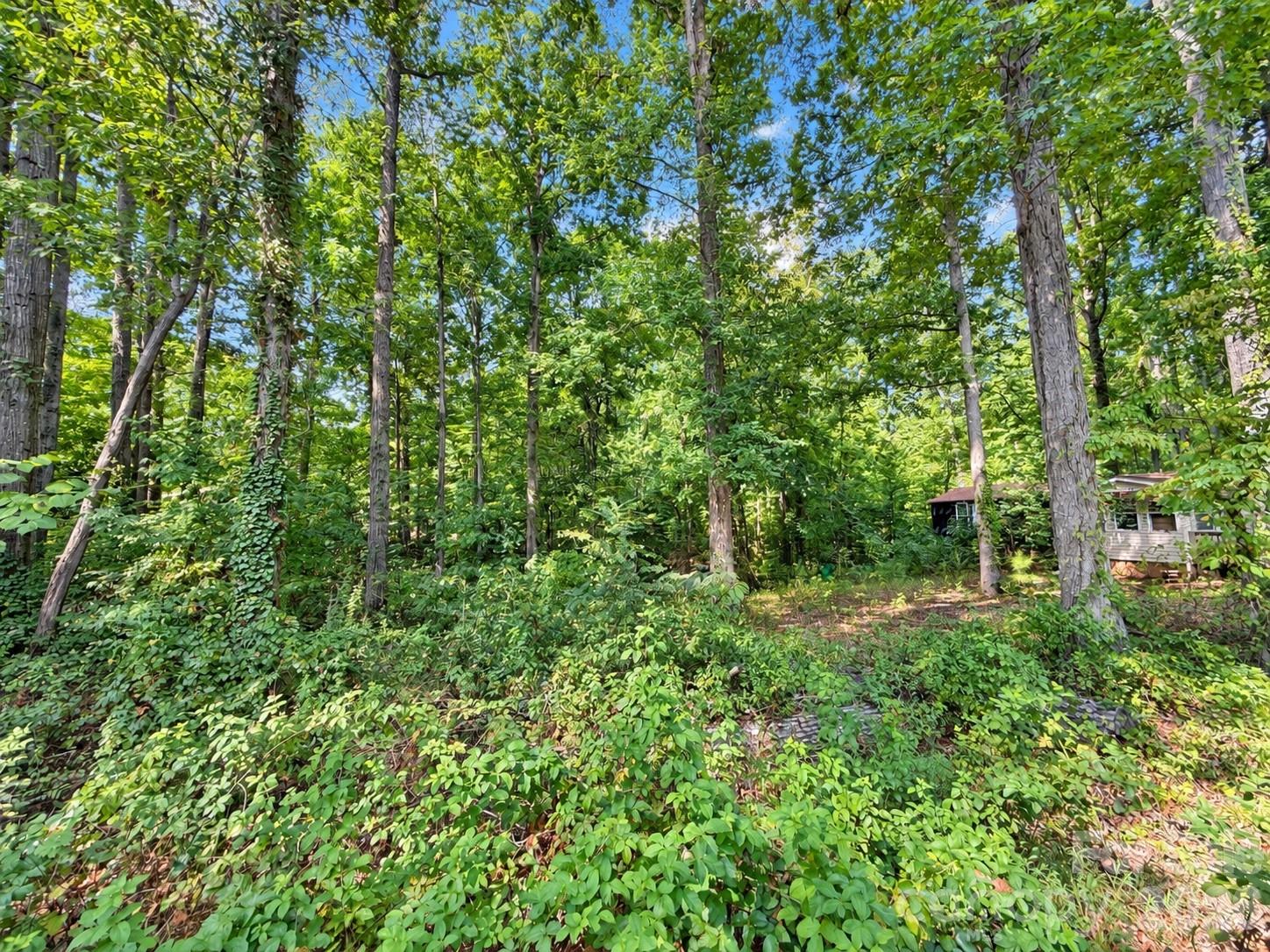 4235 Eagle Chase Drive Property Photo 3