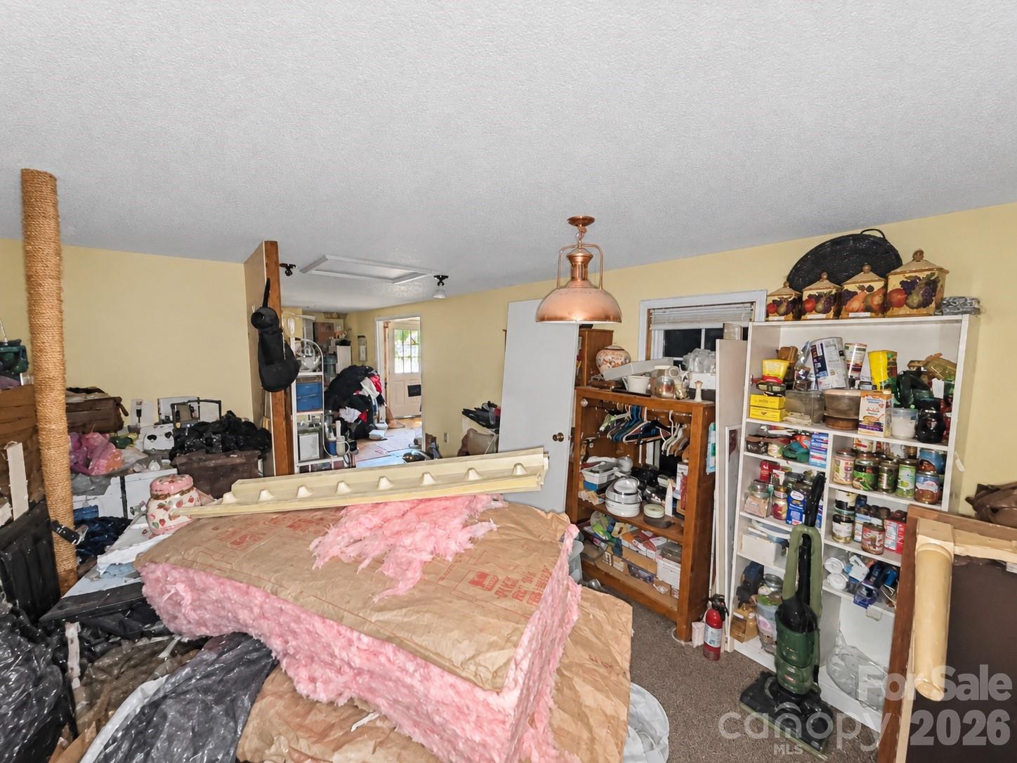 4235 Eagle Chase Drive Property Photo 10