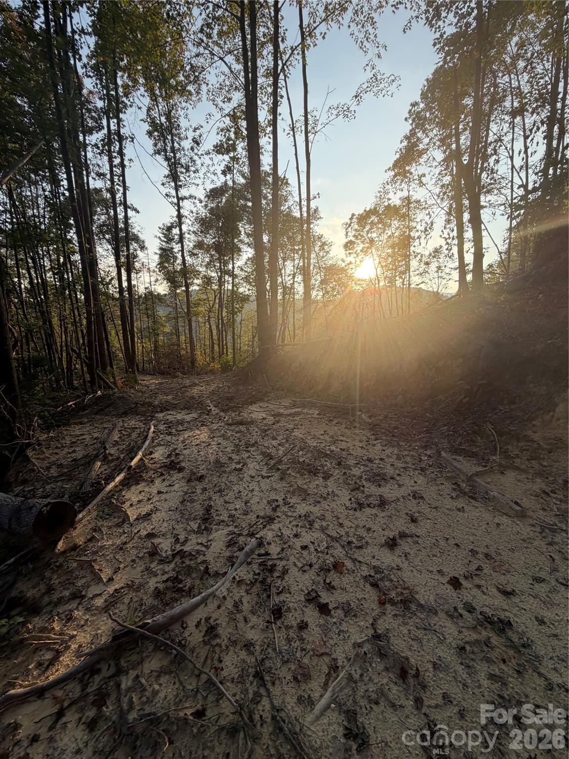 Tbd Lot 2 Old Nc Highway 16 None Property Photo 1