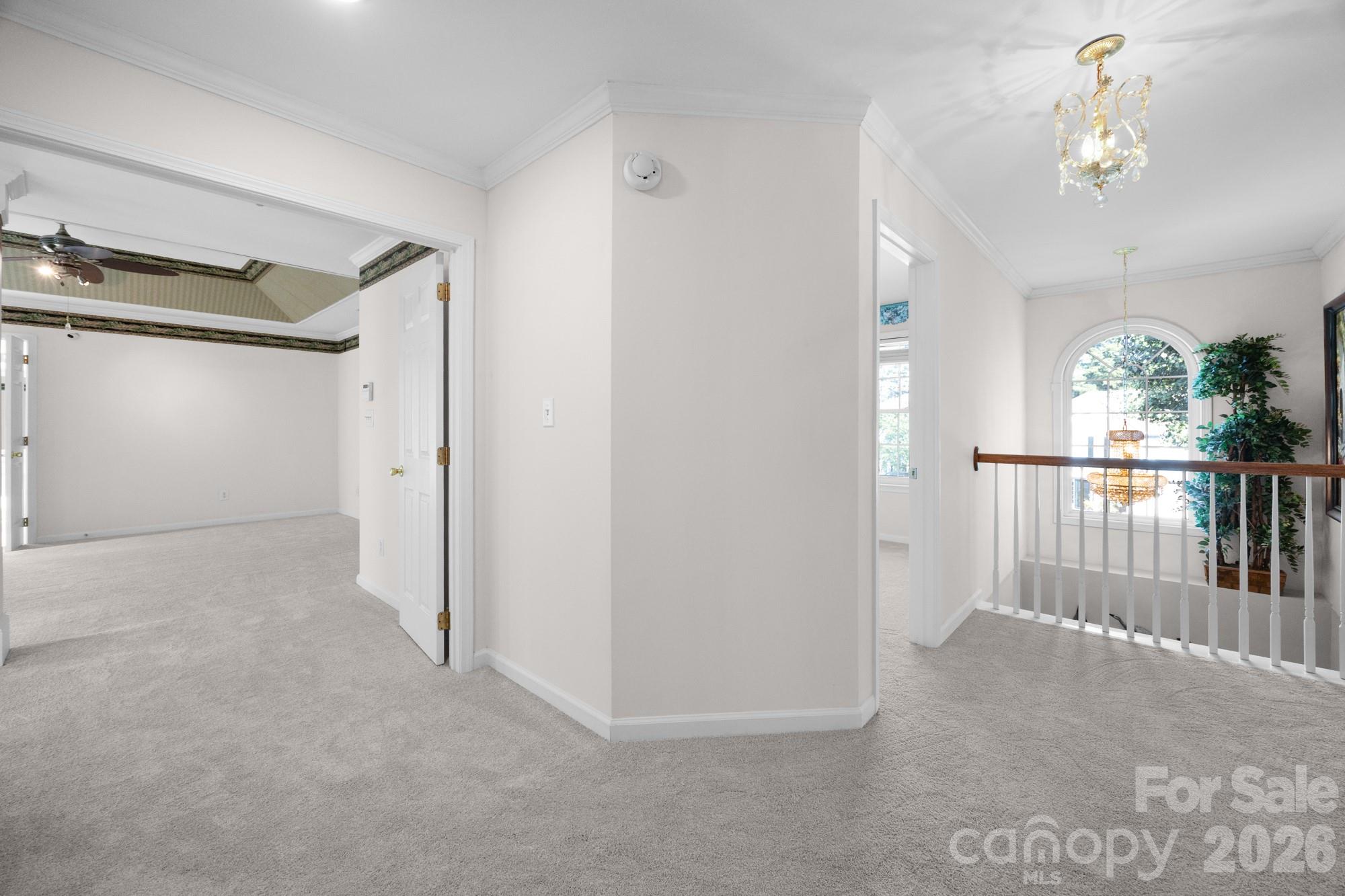 11623 Fox Hill Drive Property Photo 17