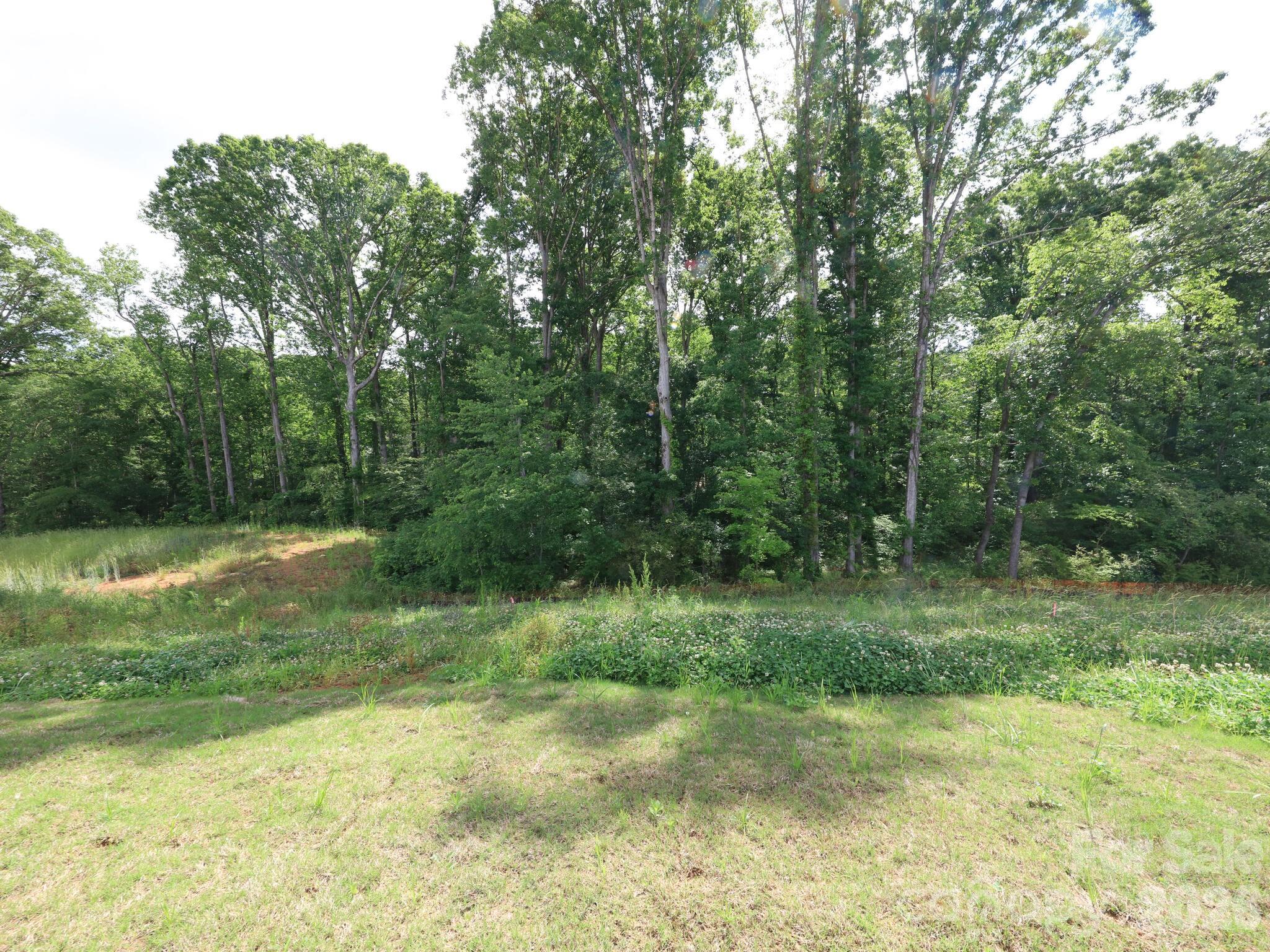 121 Olive Tea Lane Property Photo 32