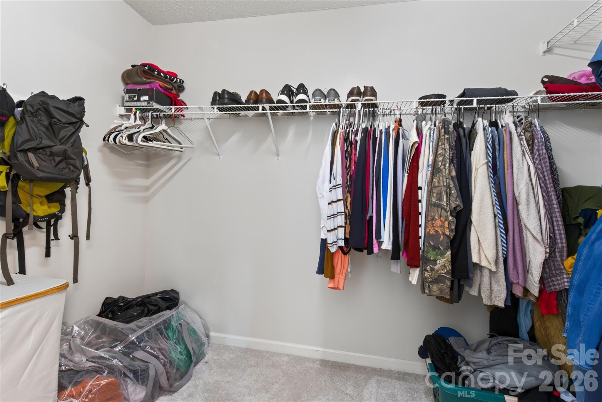 394 English Oak Road Property Photo 21