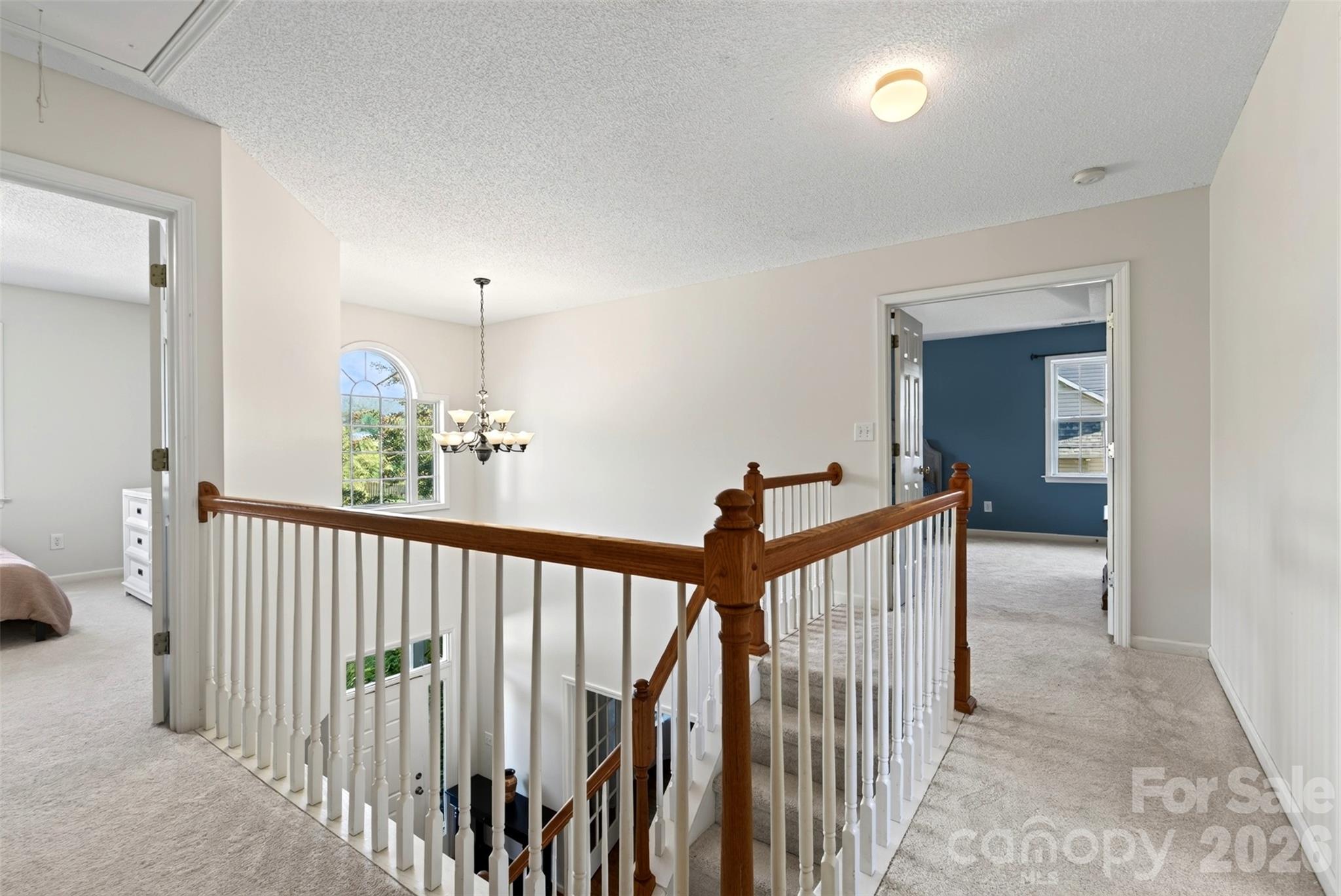 394 English Oak Road Property Photo 29