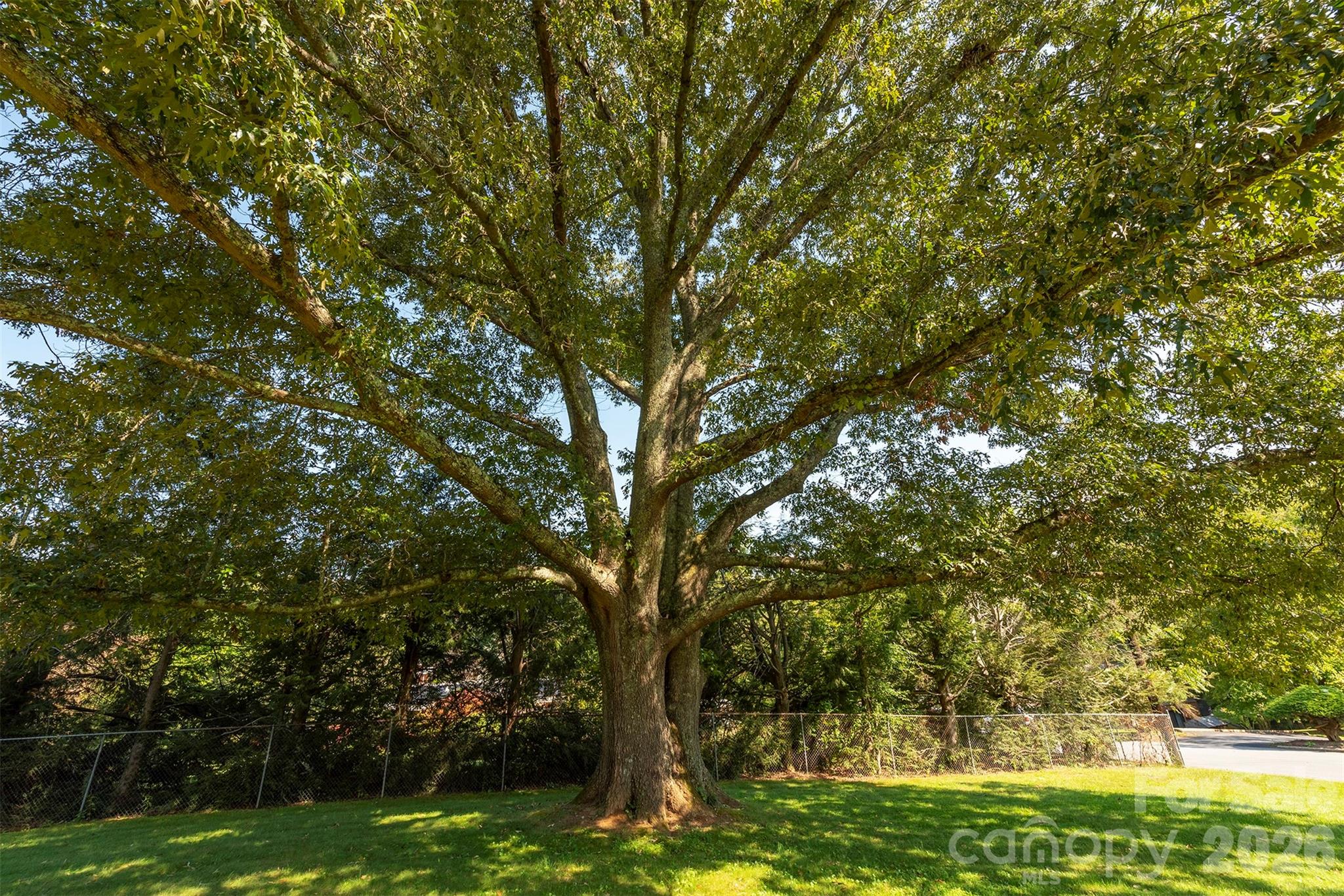 127 College Circle Property Photo 41
