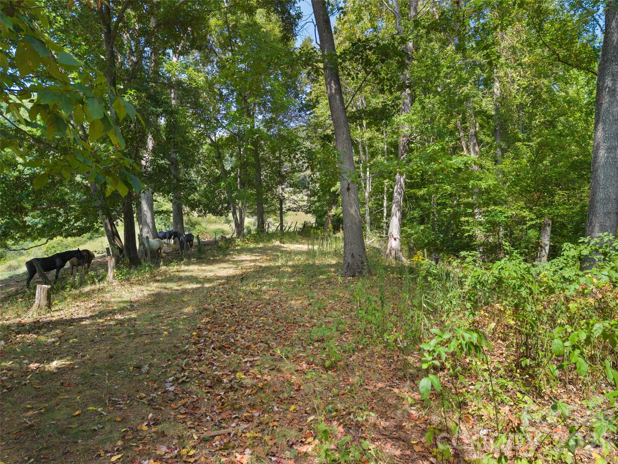 641 Scruggs Circle Property Photo 41