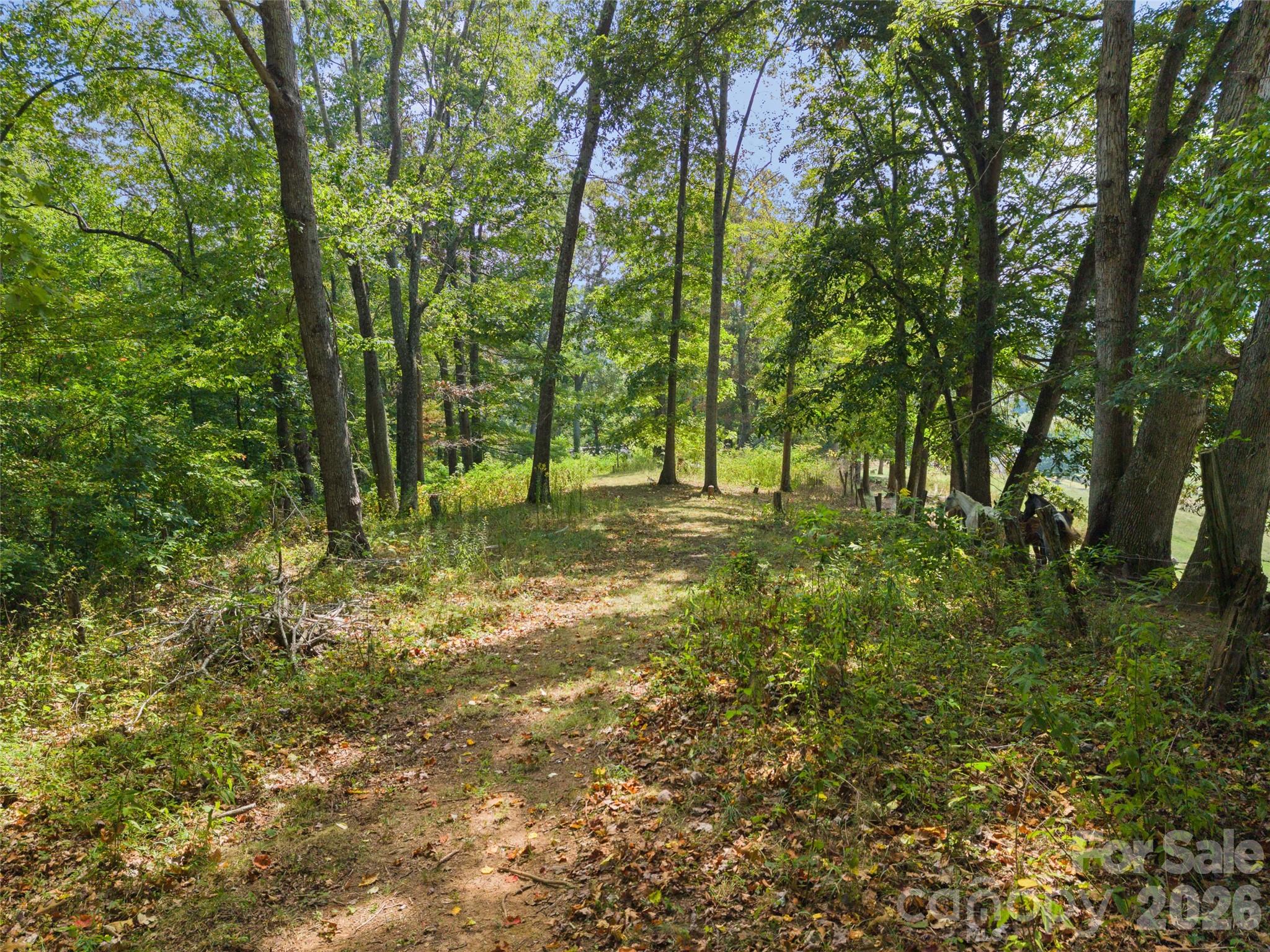641 Scruggs Circle Property Photo 42
