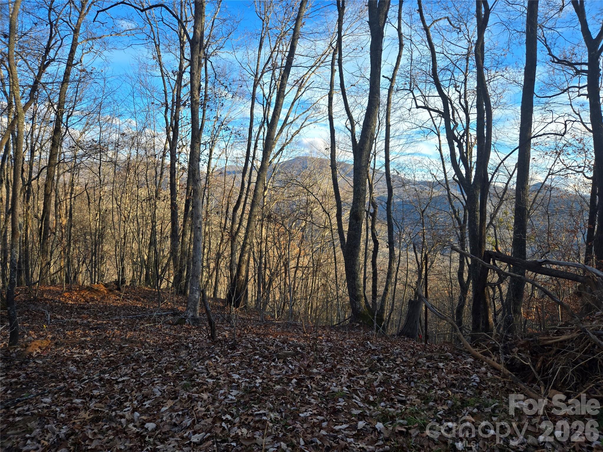 0000 Brasstown Road Property Photo 1