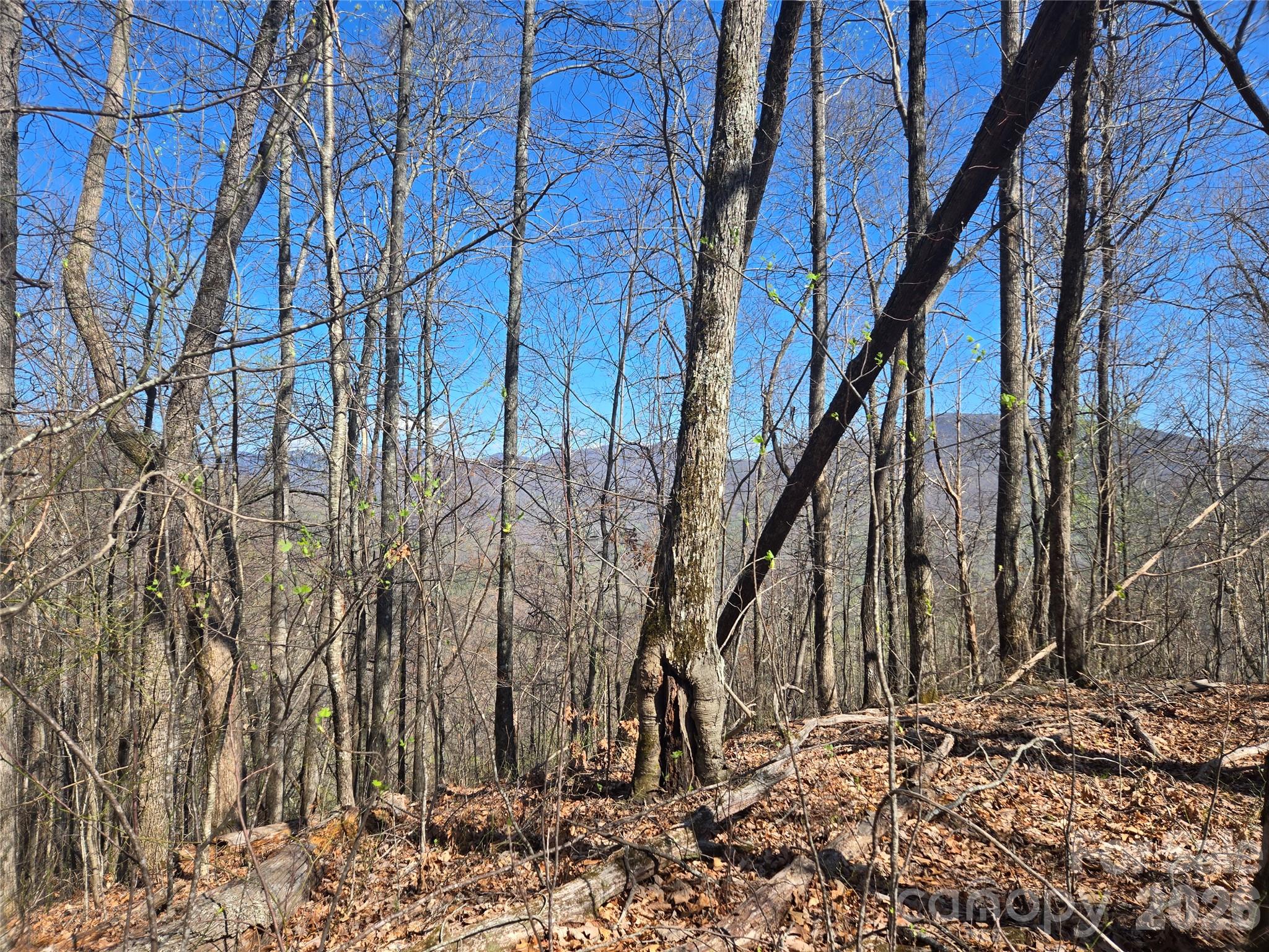 0000 Brasstown Road Property Photo 2