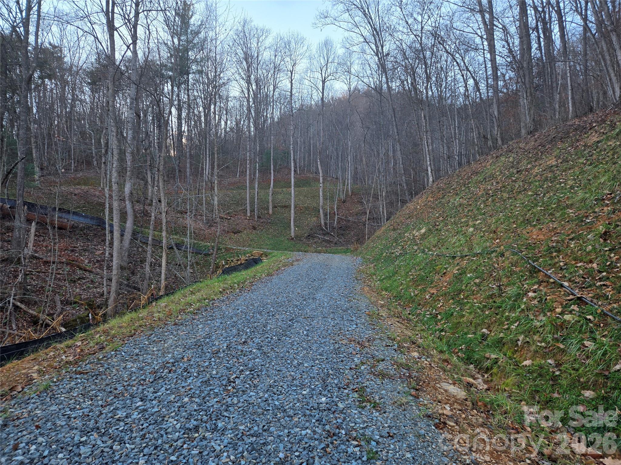 0000 Brasstown Road Property Photo 3