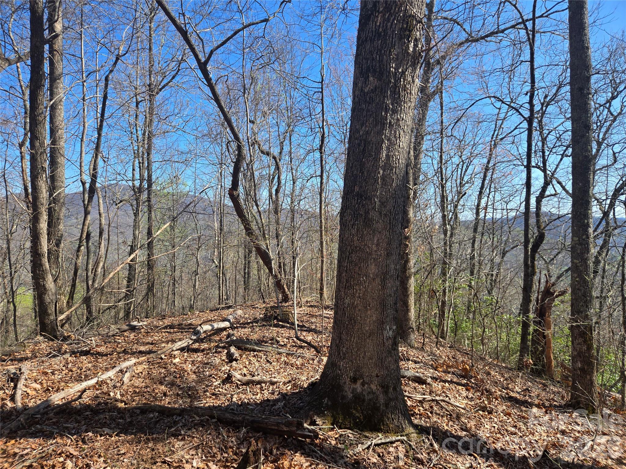 0000 Brasstown Road Property Photo 4