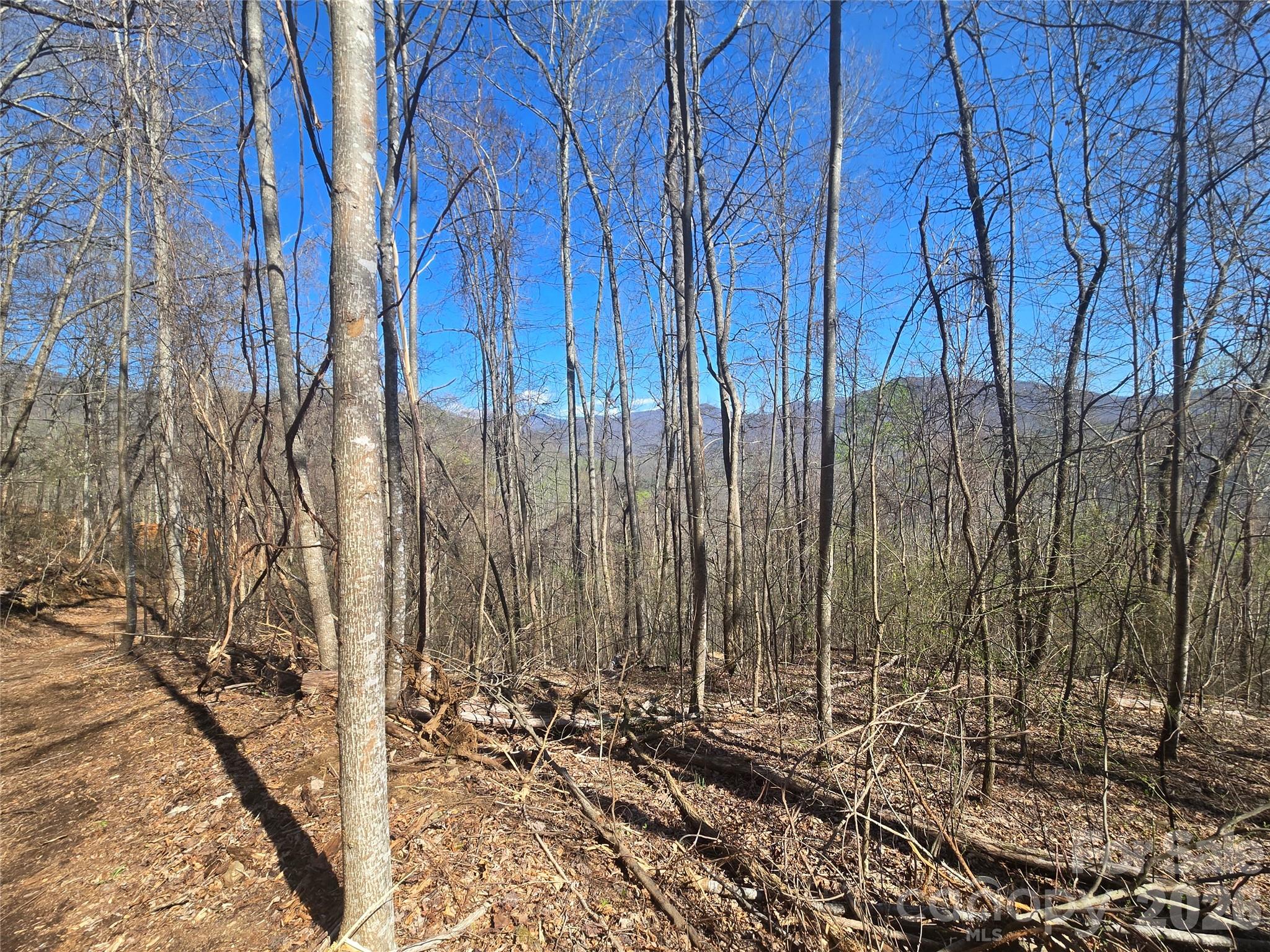 0000 Brasstown Road Property Photo 5