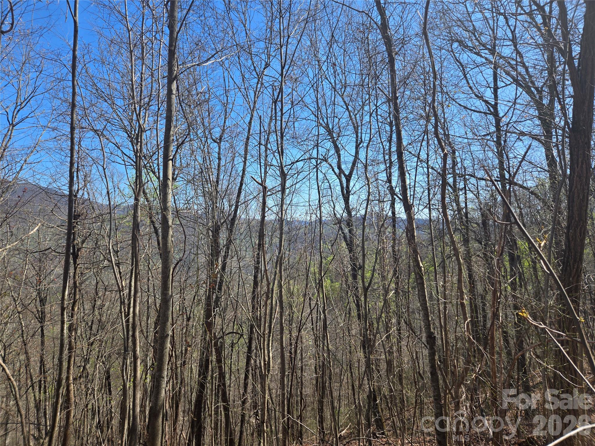 0000 Brasstown Road Property Photo 6