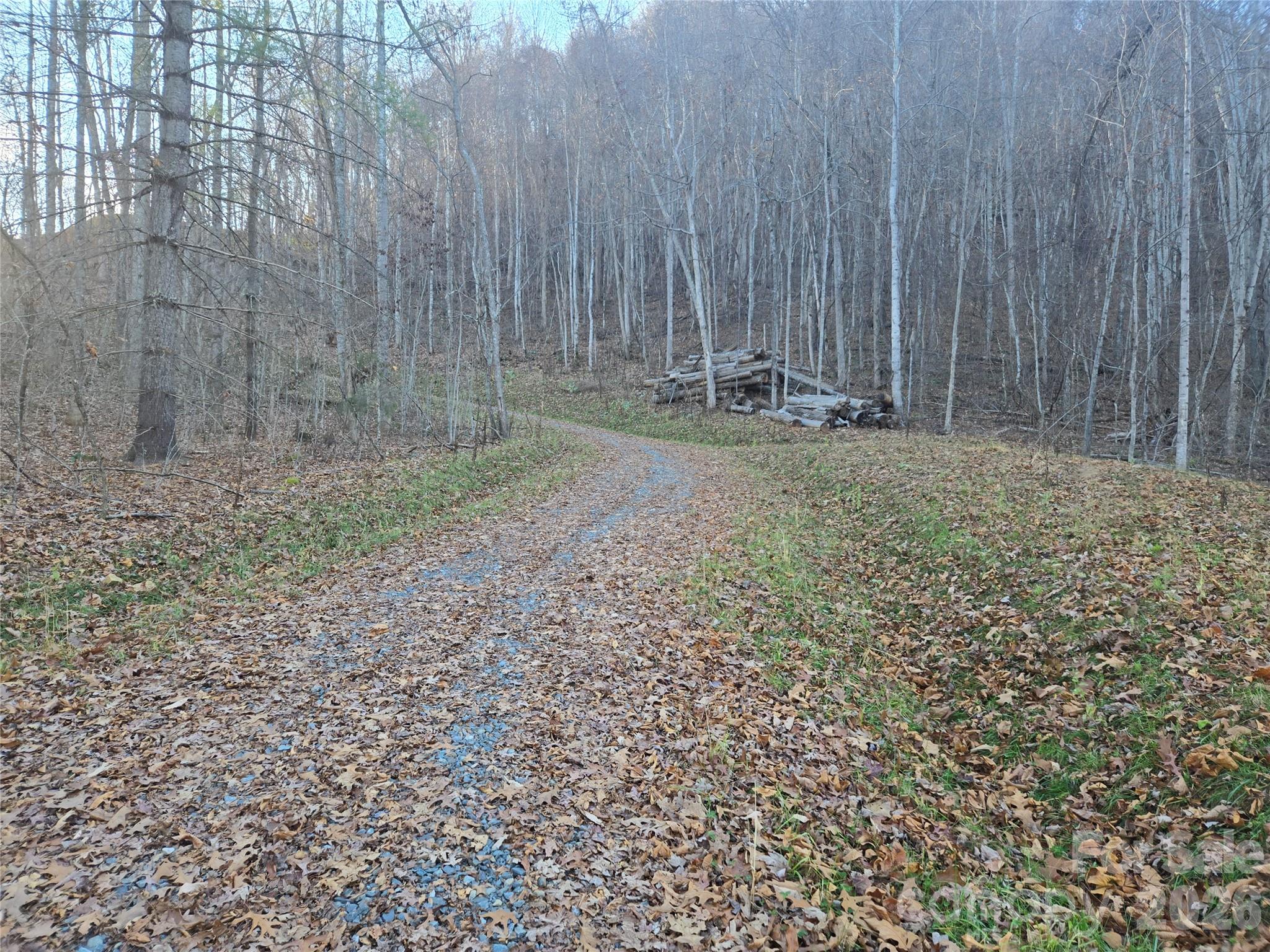 0000 Brasstown Road Property Photo 7