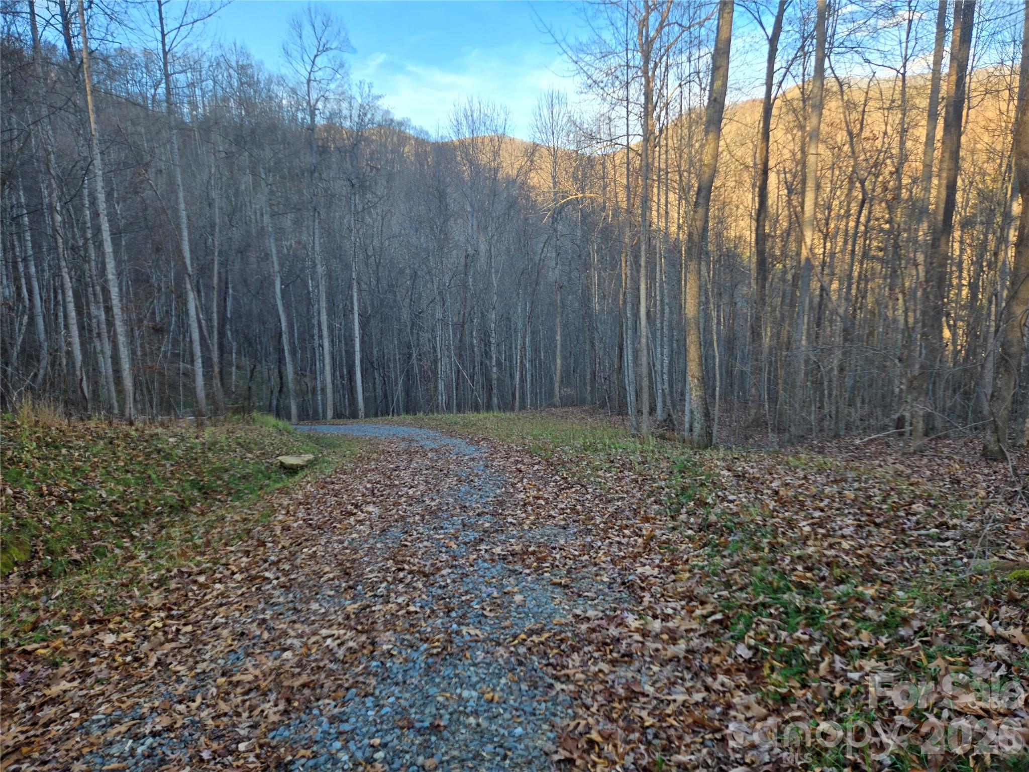 0000 Brasstown Road Property Photo 8