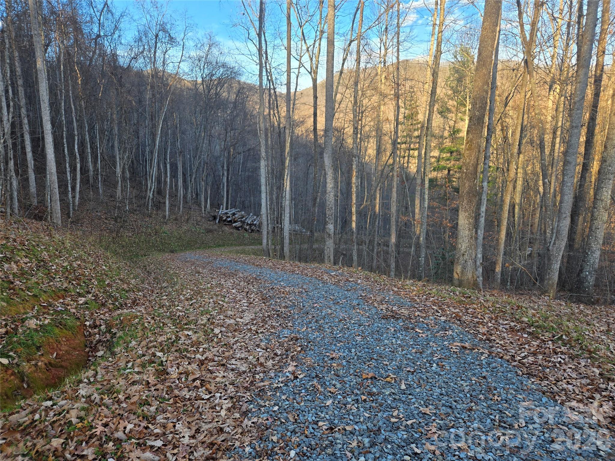 0000 Brasstown Road Property Photo 10