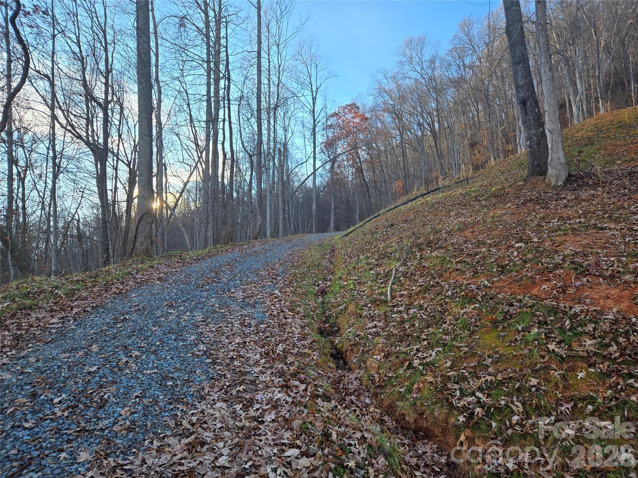 0000 Brasstown Road Property Photo 11