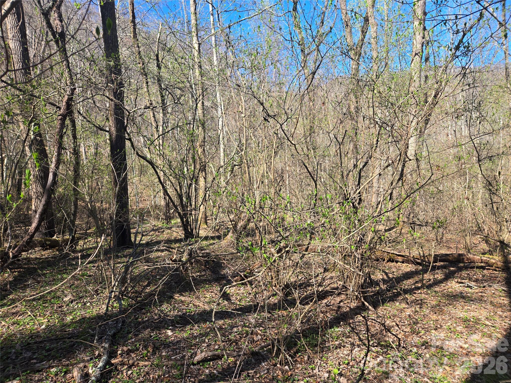 0000 Brasstown Road Property Photo 13