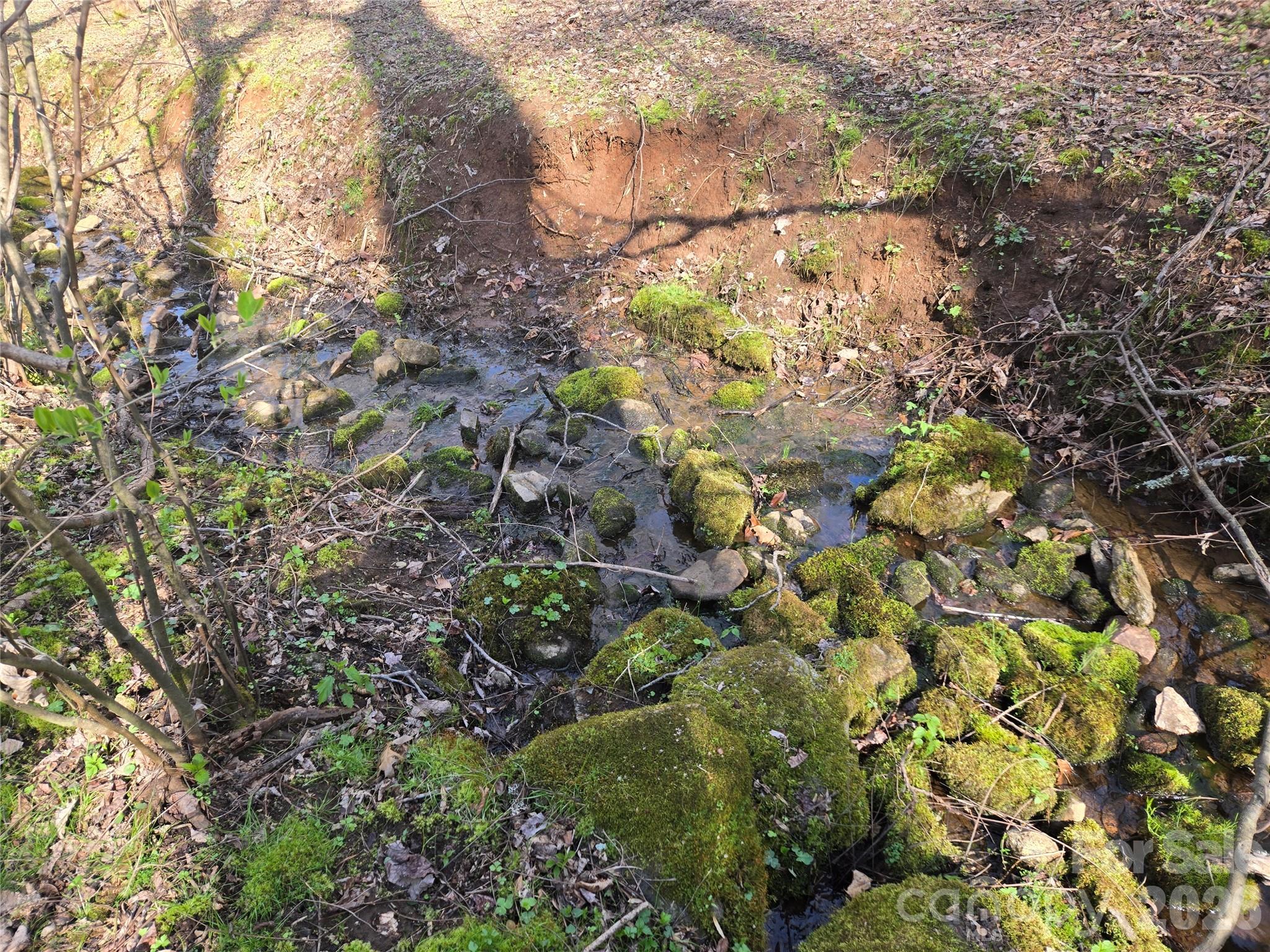 0000 Brasstown Road Property Photo 15