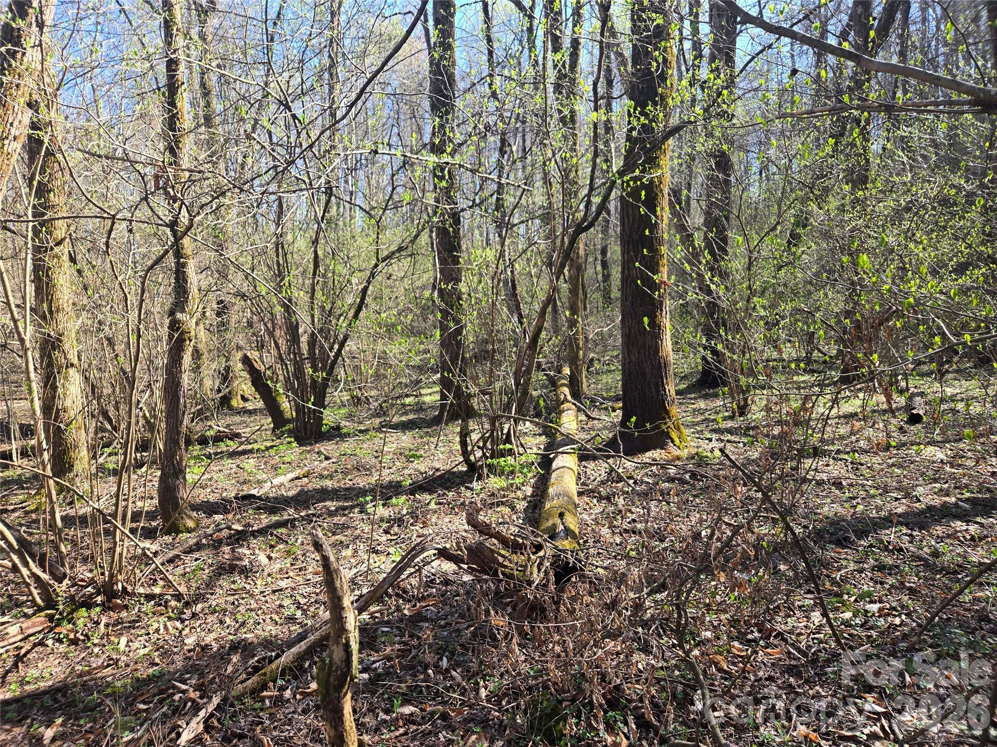 0000 Brasstown Road Property Photo 16