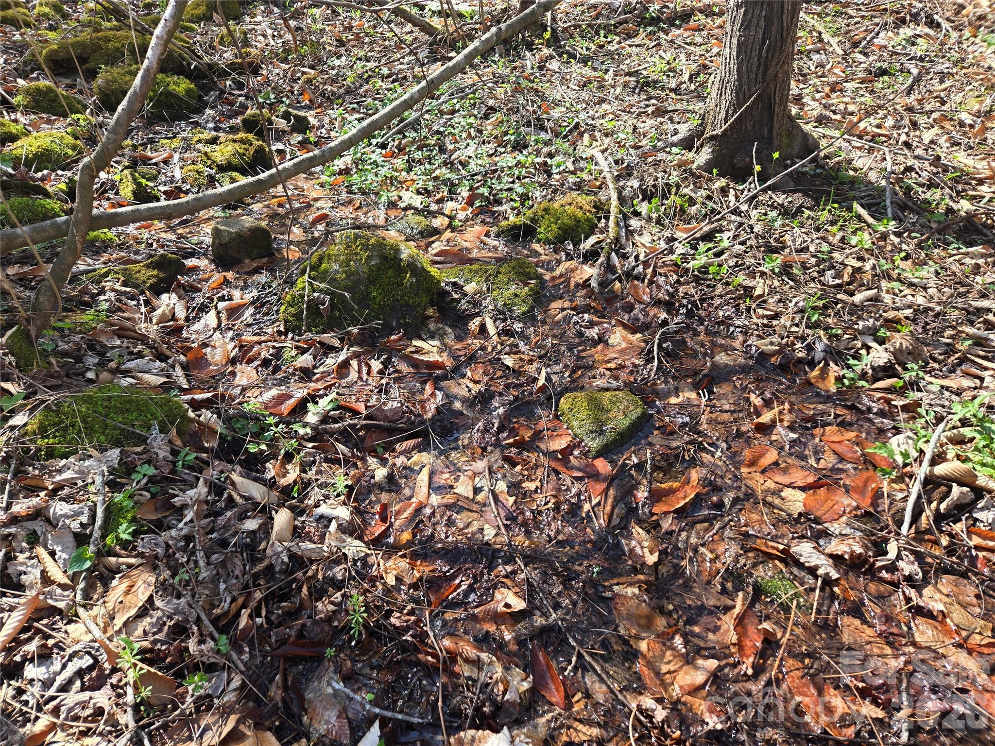 0000 Brasstown Road Property Photo 17