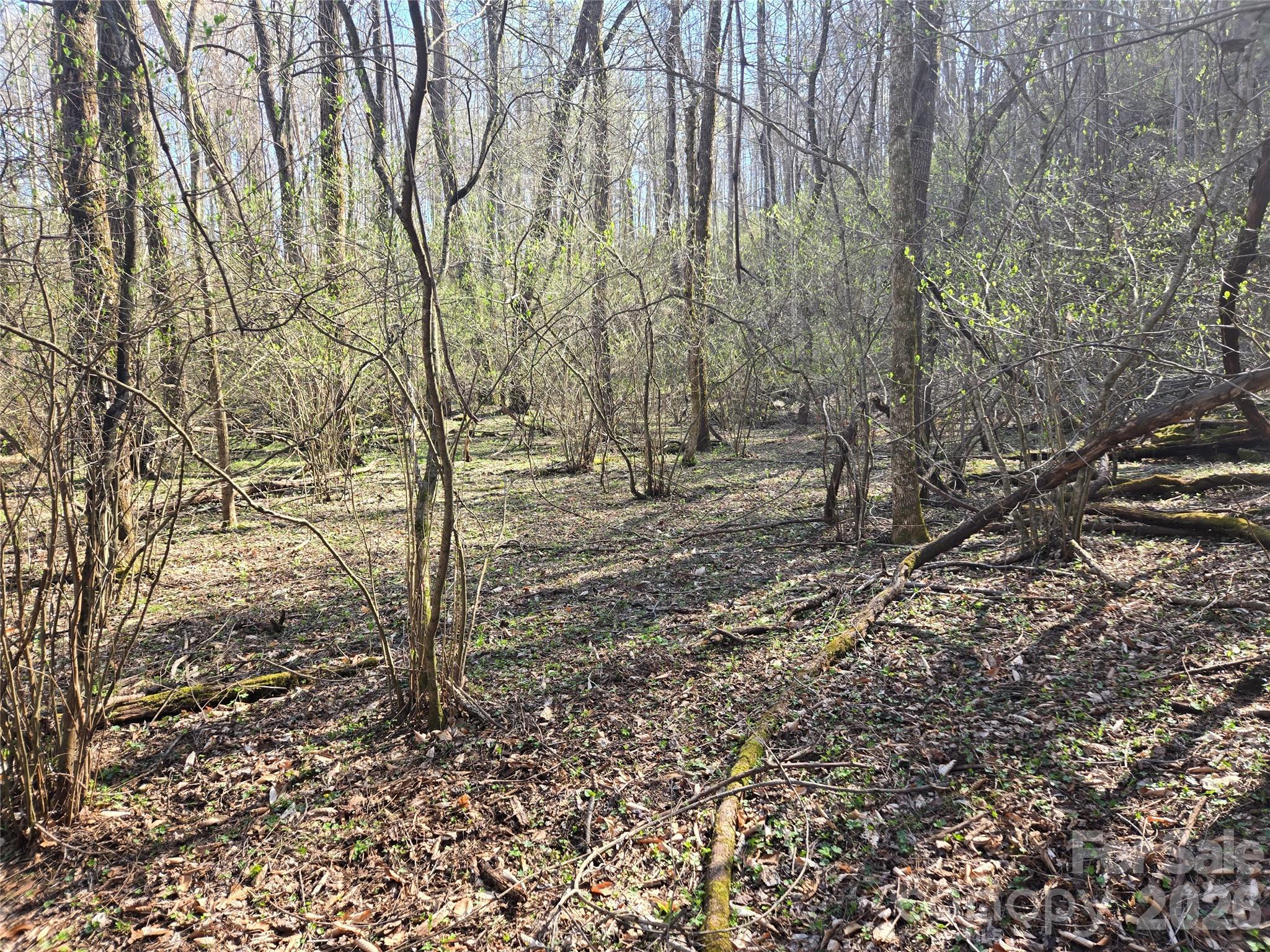 0000 Brasstown Road Property Photo 18