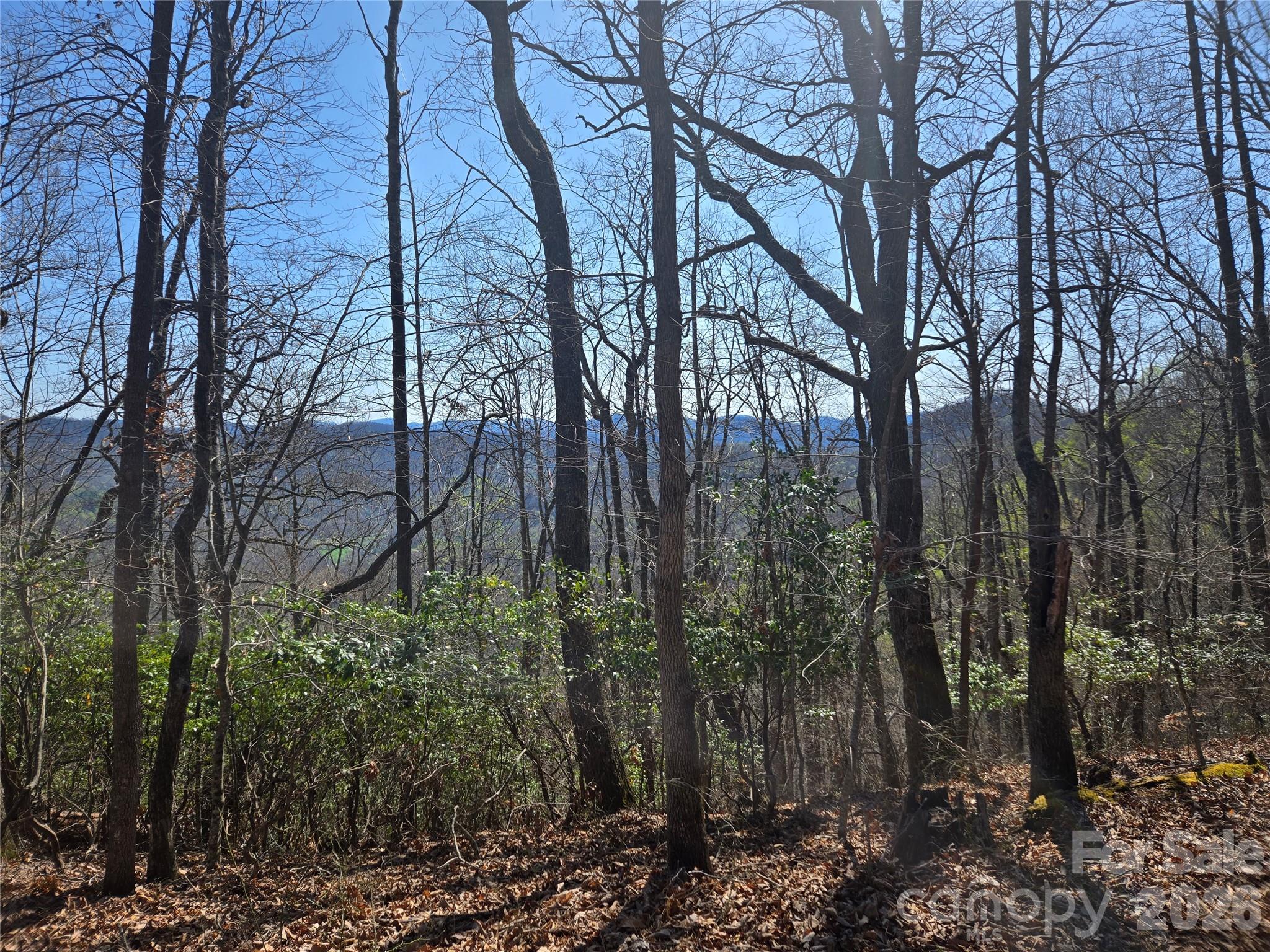 0000 Brasstown Road Property Photo 19