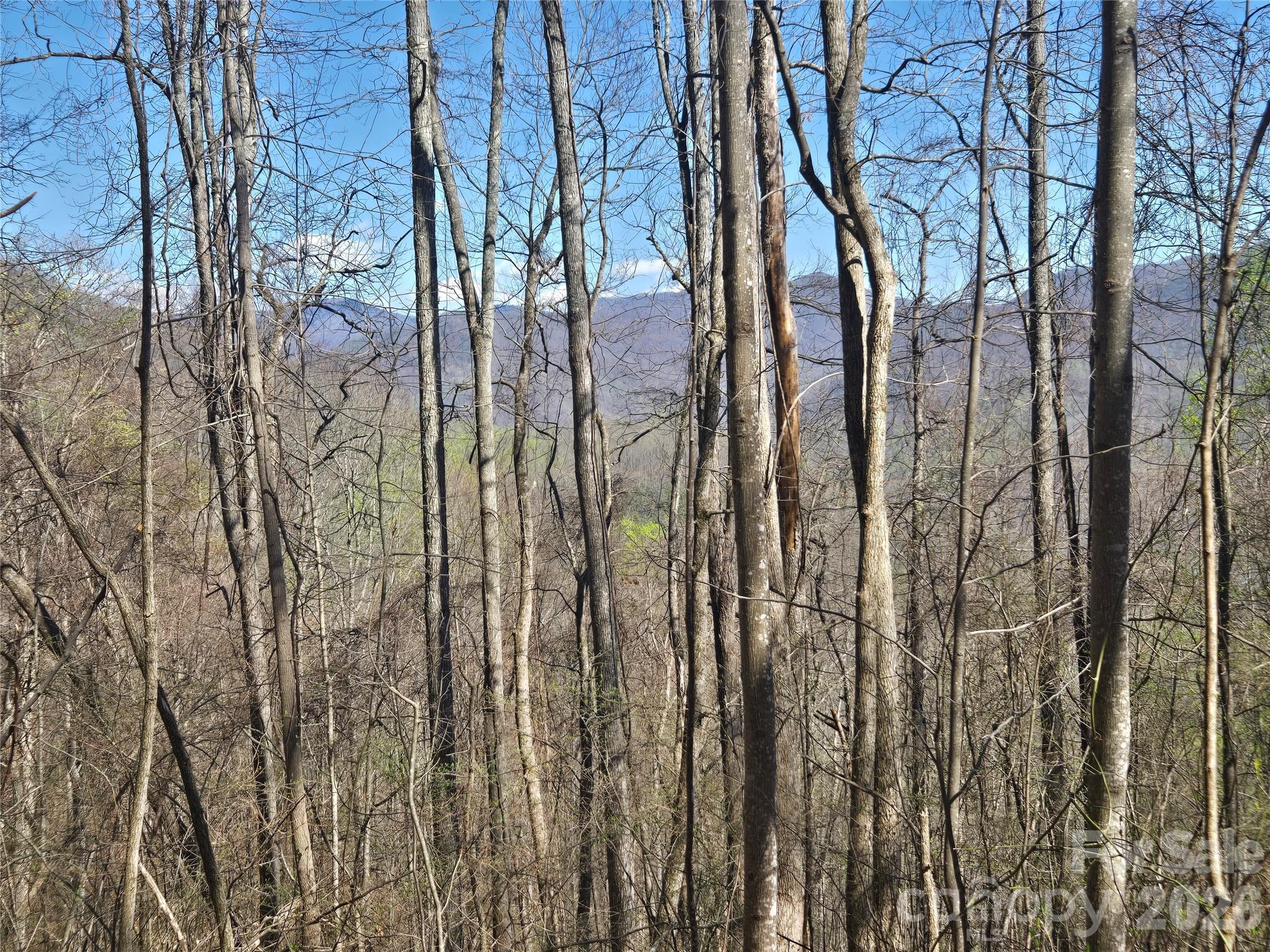 0000 Brasstown Road Property Photo 20