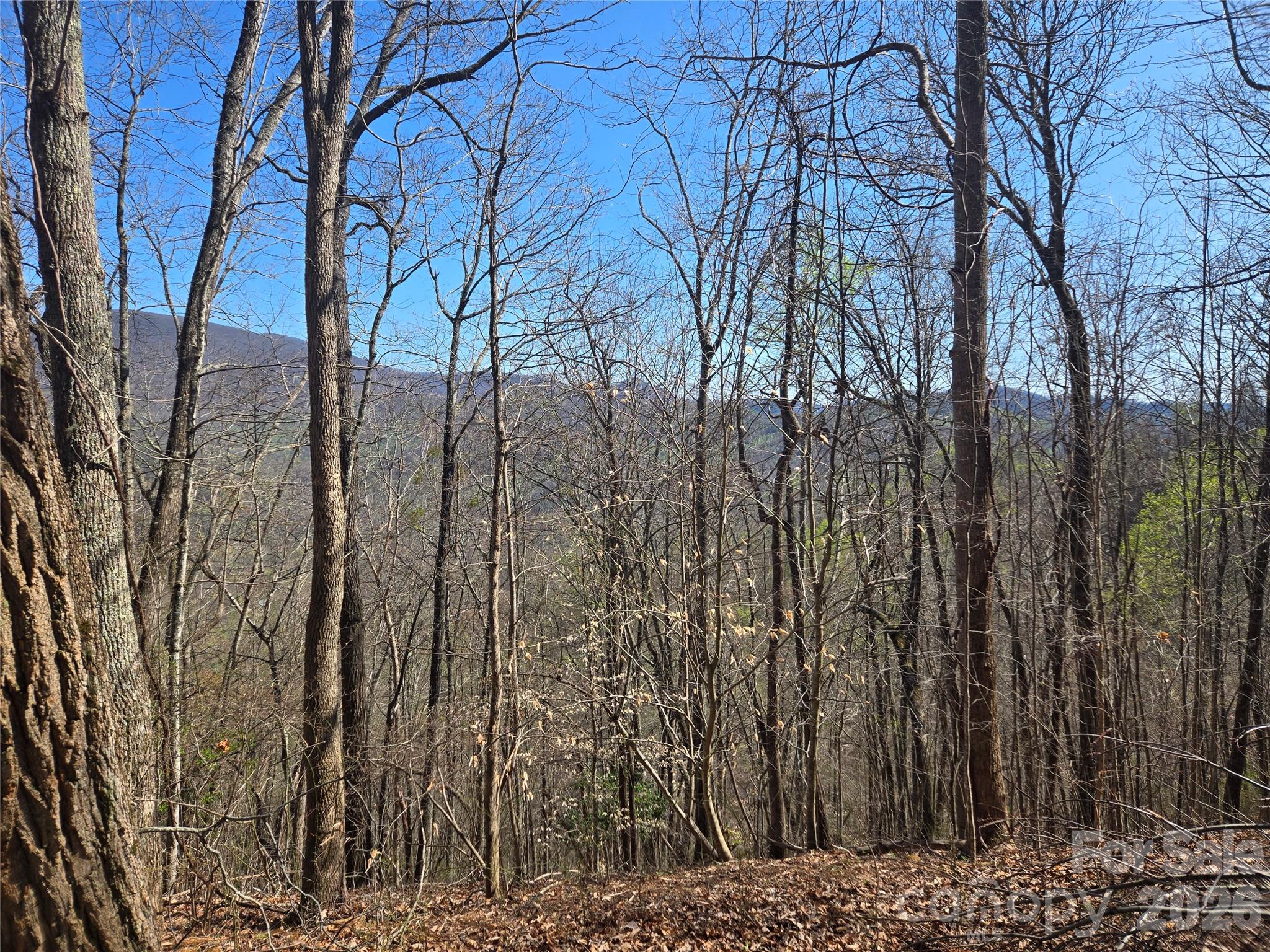 0000 Brasstown Road Property Photo 21