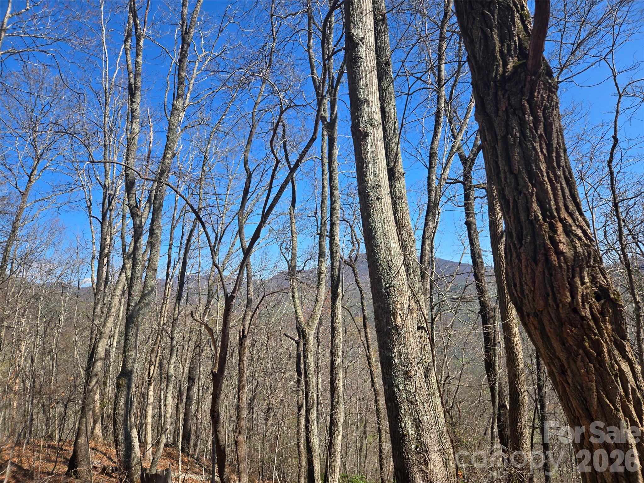 0000 Brasstown Road Property Photo 22