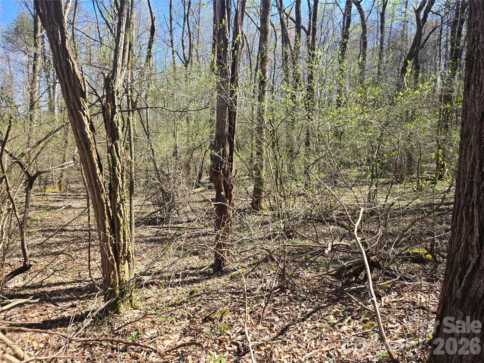 0000 Brasstown Road Property Photo 24