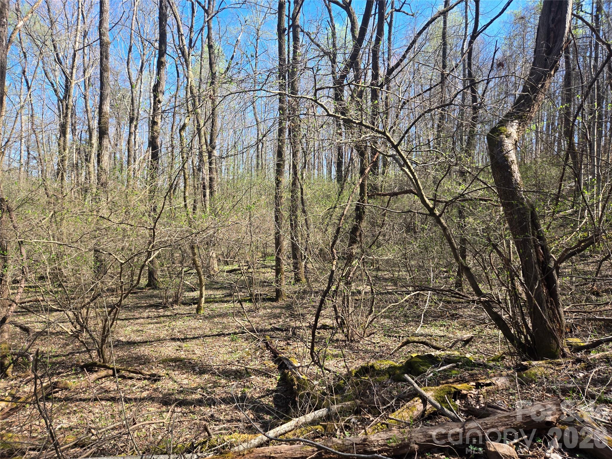 0000 Brasstown Road Property Photo 26
