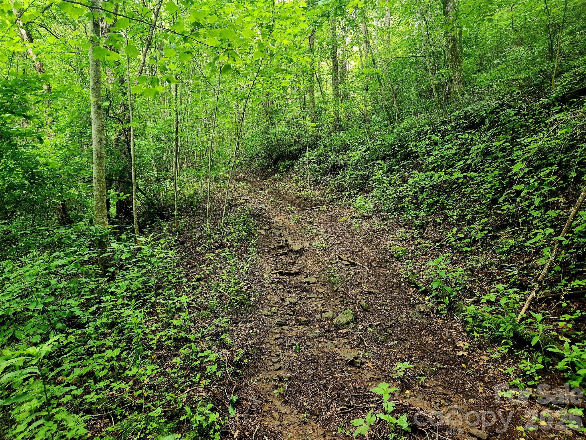 0000 Brasstown Road Property Photo 33