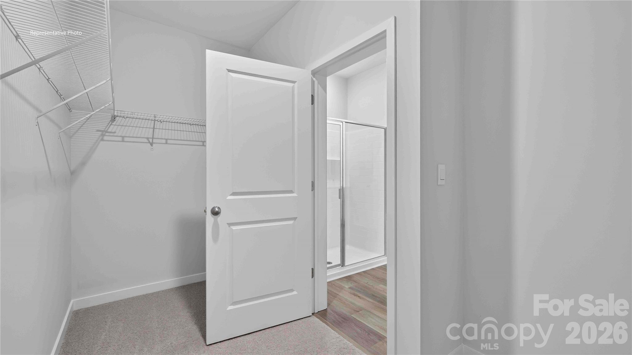 1013 Grace Valley Drive Property Photo 14