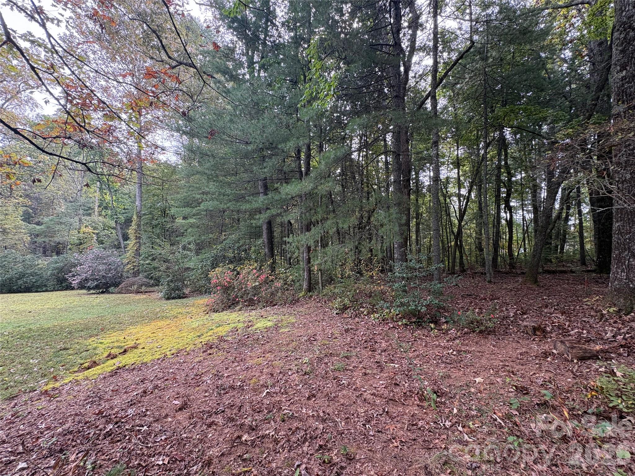 502 Pace Road Property Photo 40