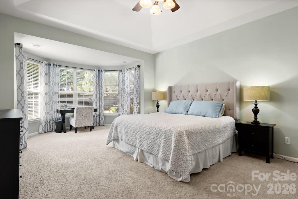 6723 Carrington Pointe Drive Property Photo 17