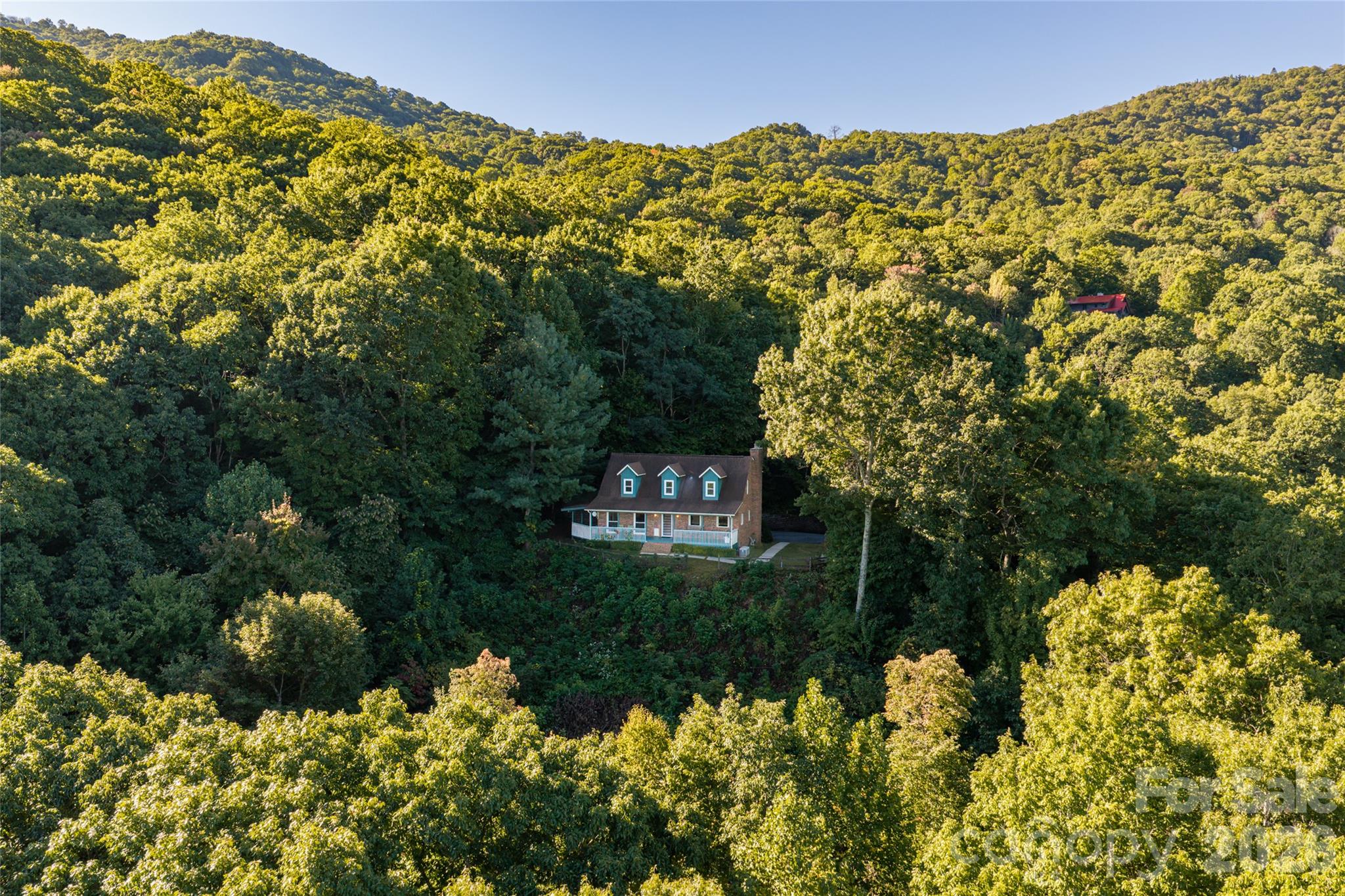 126 Wildflower Cove Drive Property Photo 6