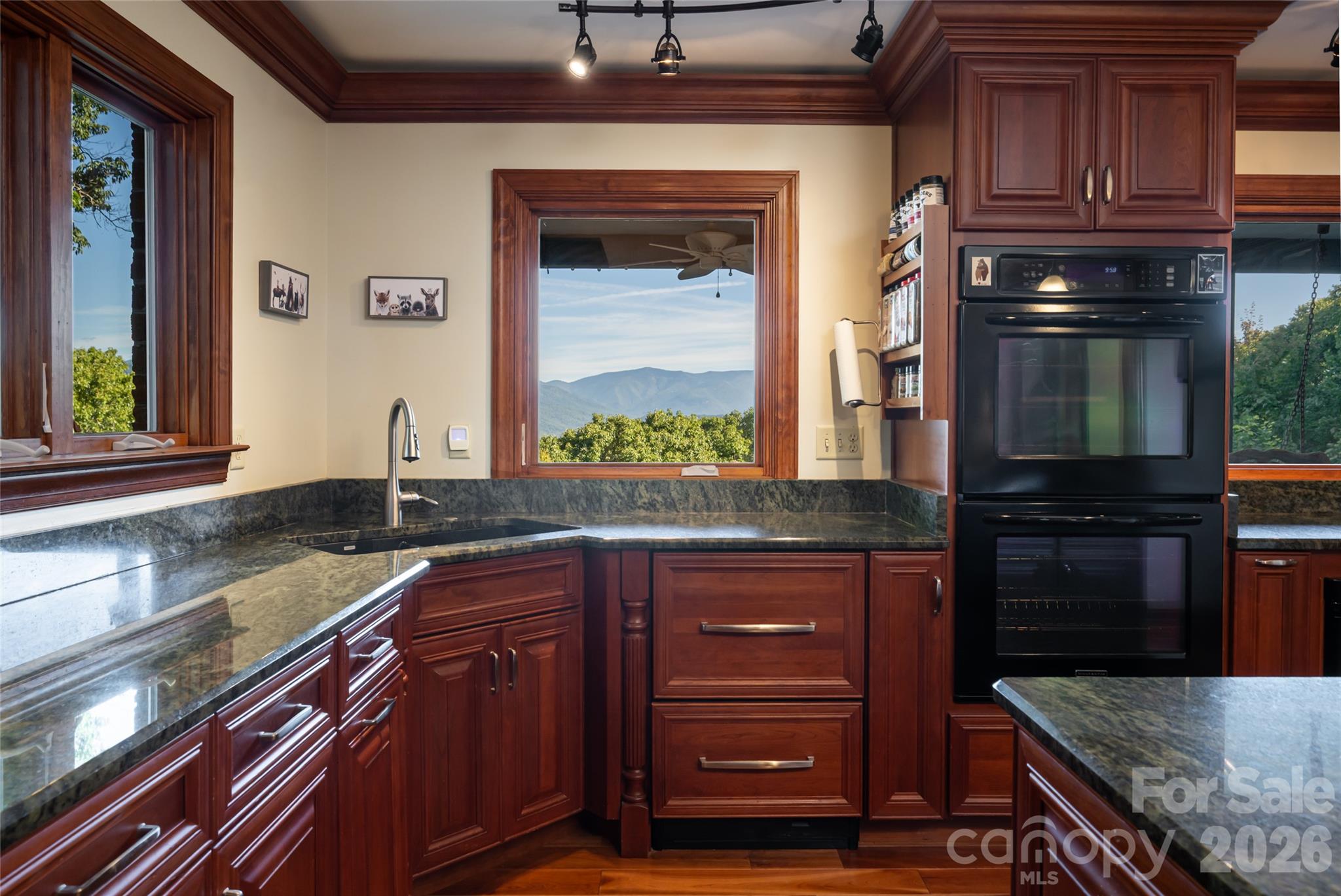 126 Wildflower Cove Drive Property Photo 18