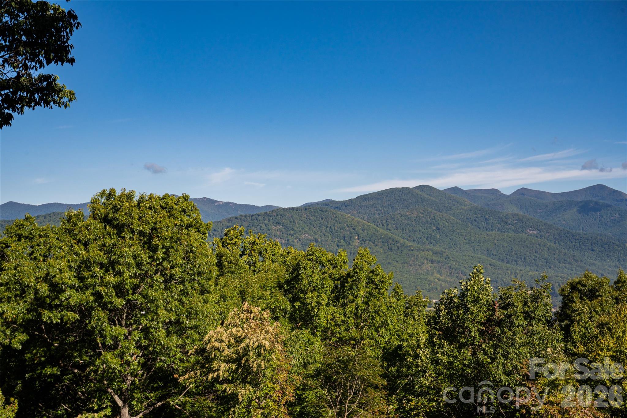 126 Wildflower Cove Drive Property Photo 30