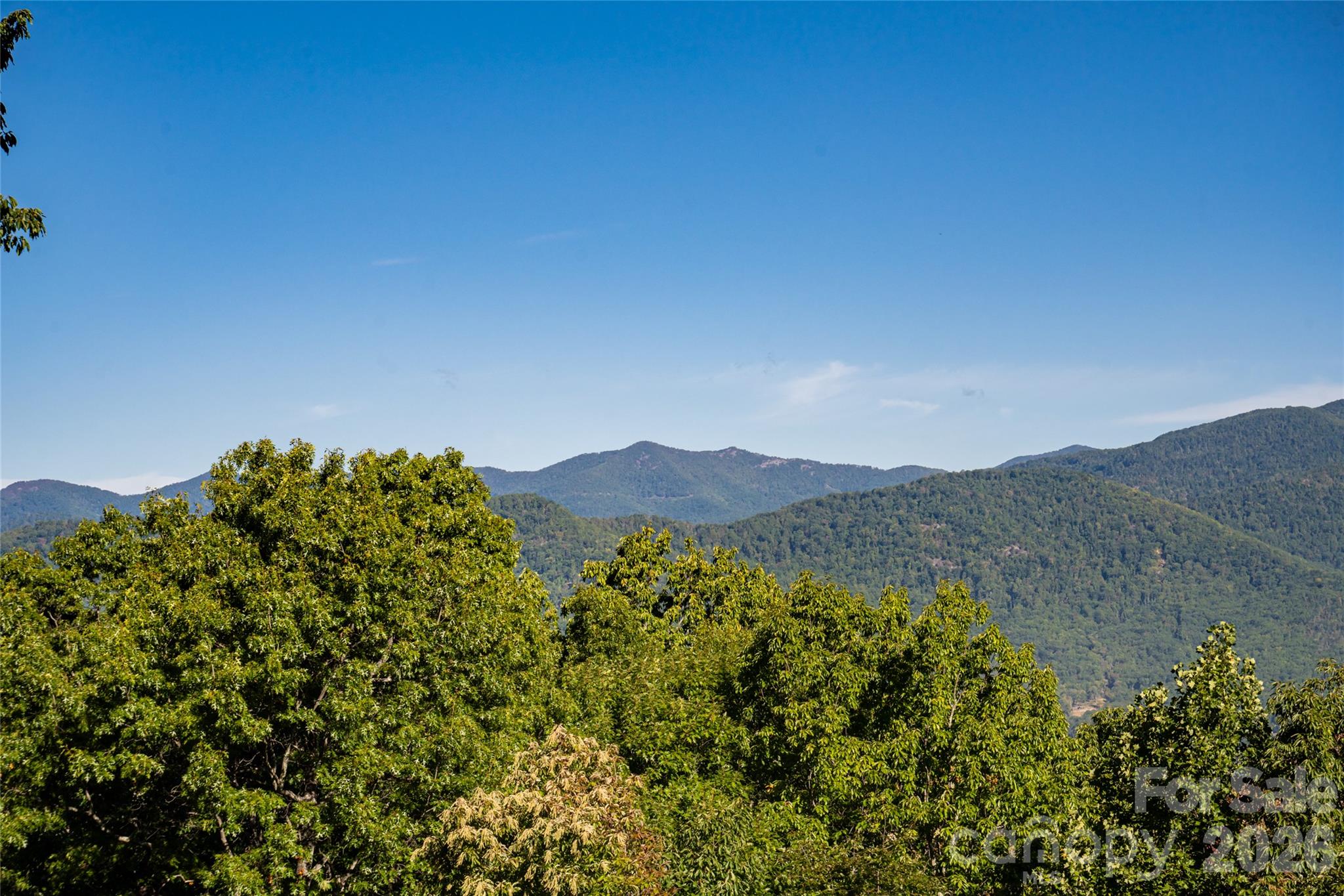 126 Wildflower Cove Drive Property Photo 45