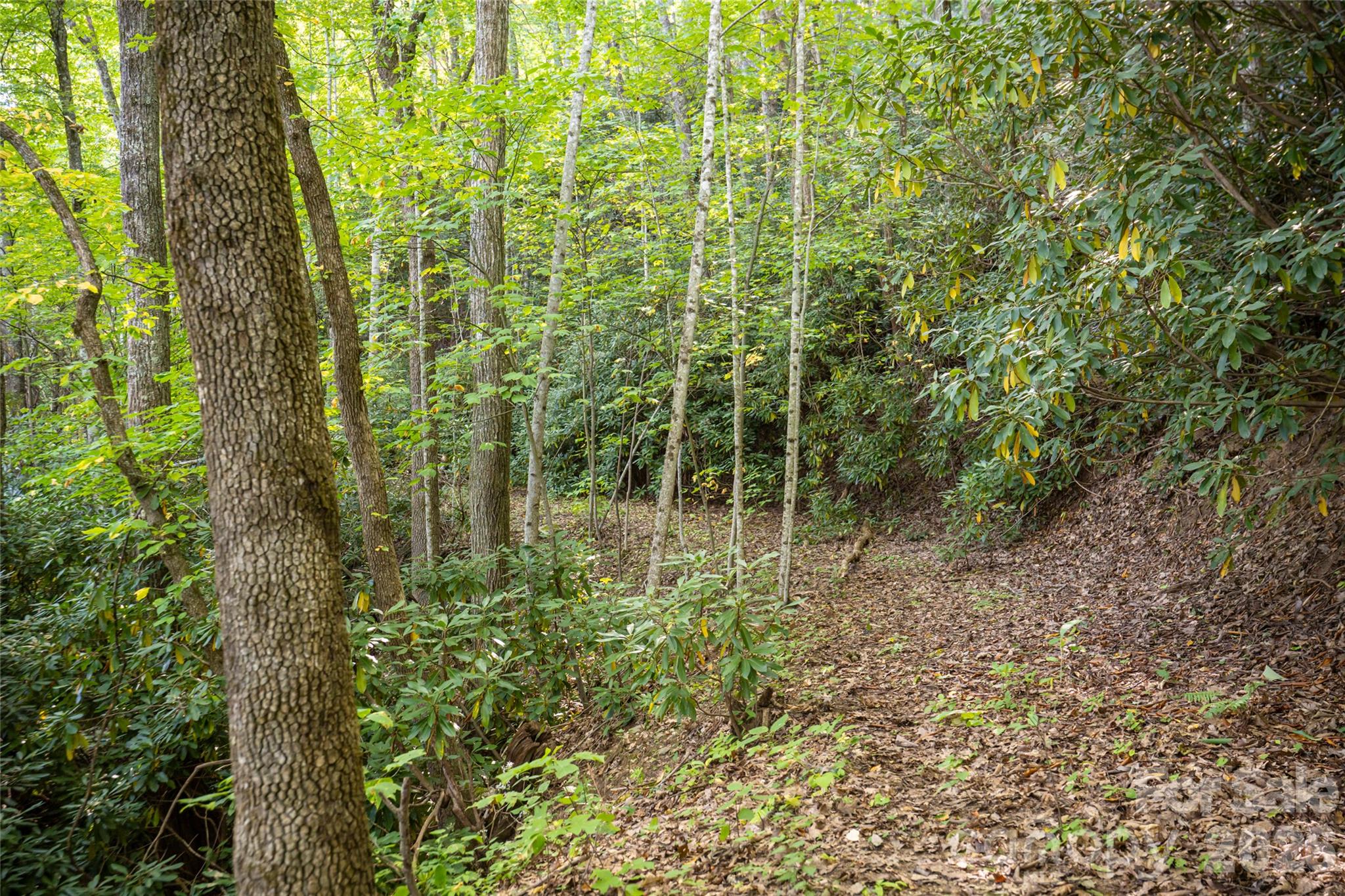 126 Wildflower Cove Drive Property Photo 46