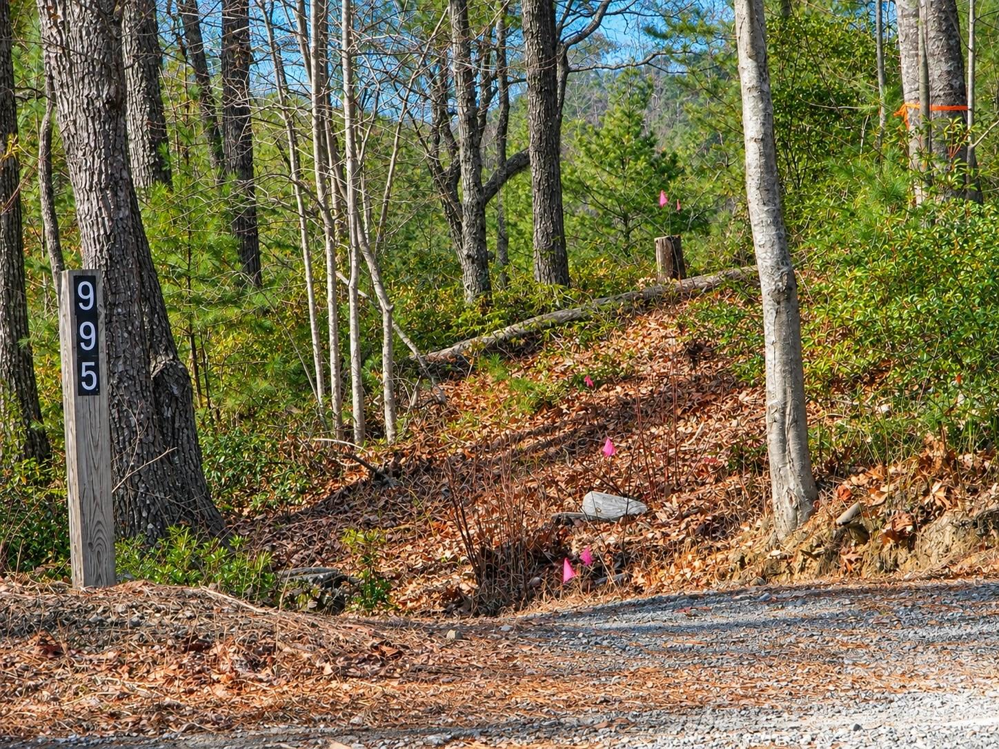 43 Deer Crossing Lane 43 Property Photo 1