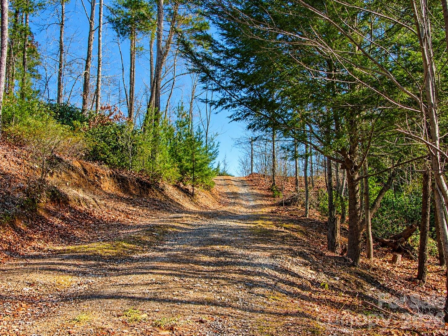 1166 Deer Crossing Lane 43 Property Photo 6