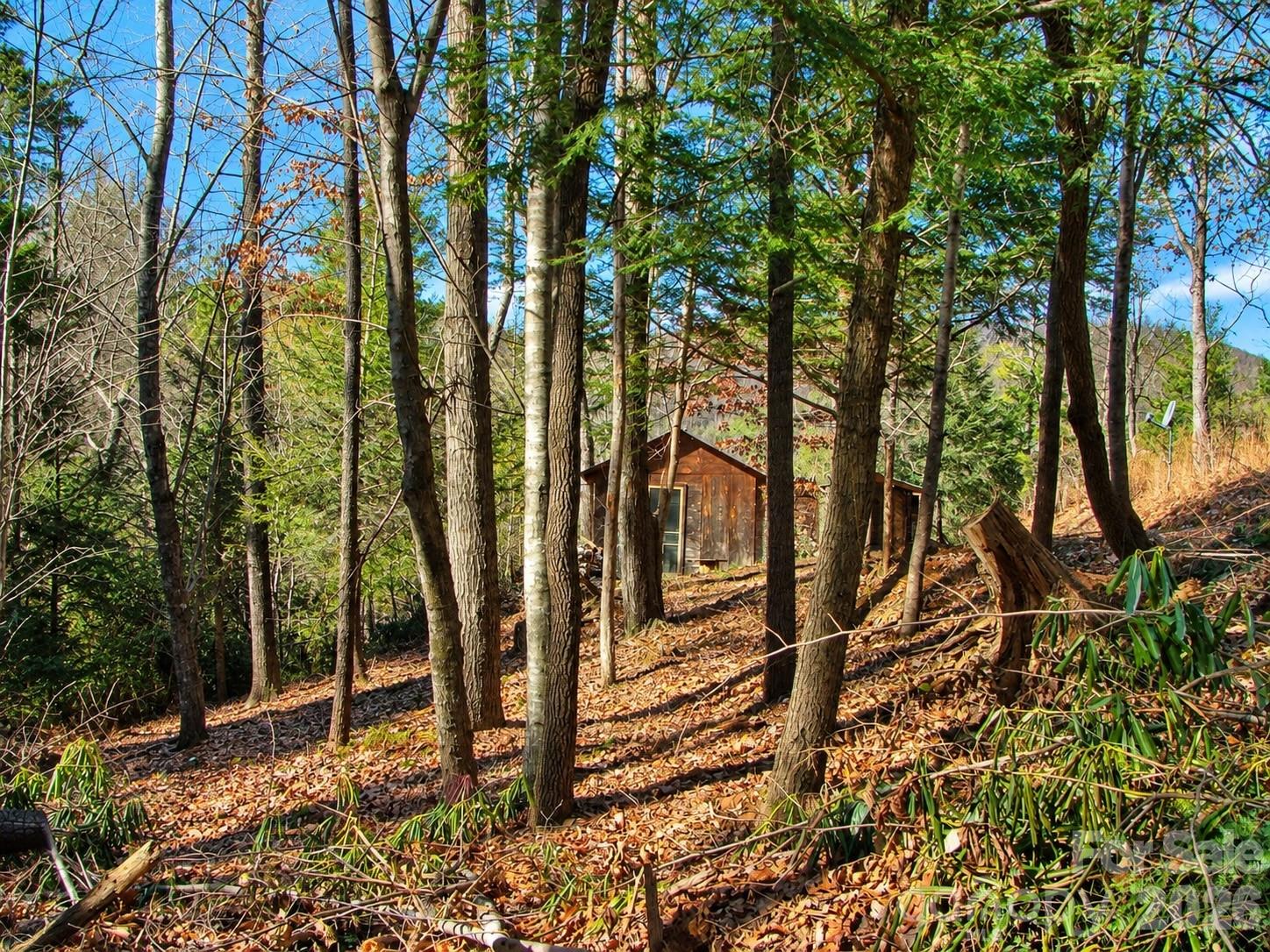 1166 Deer Crossing Lane 43 Property Photo 7
